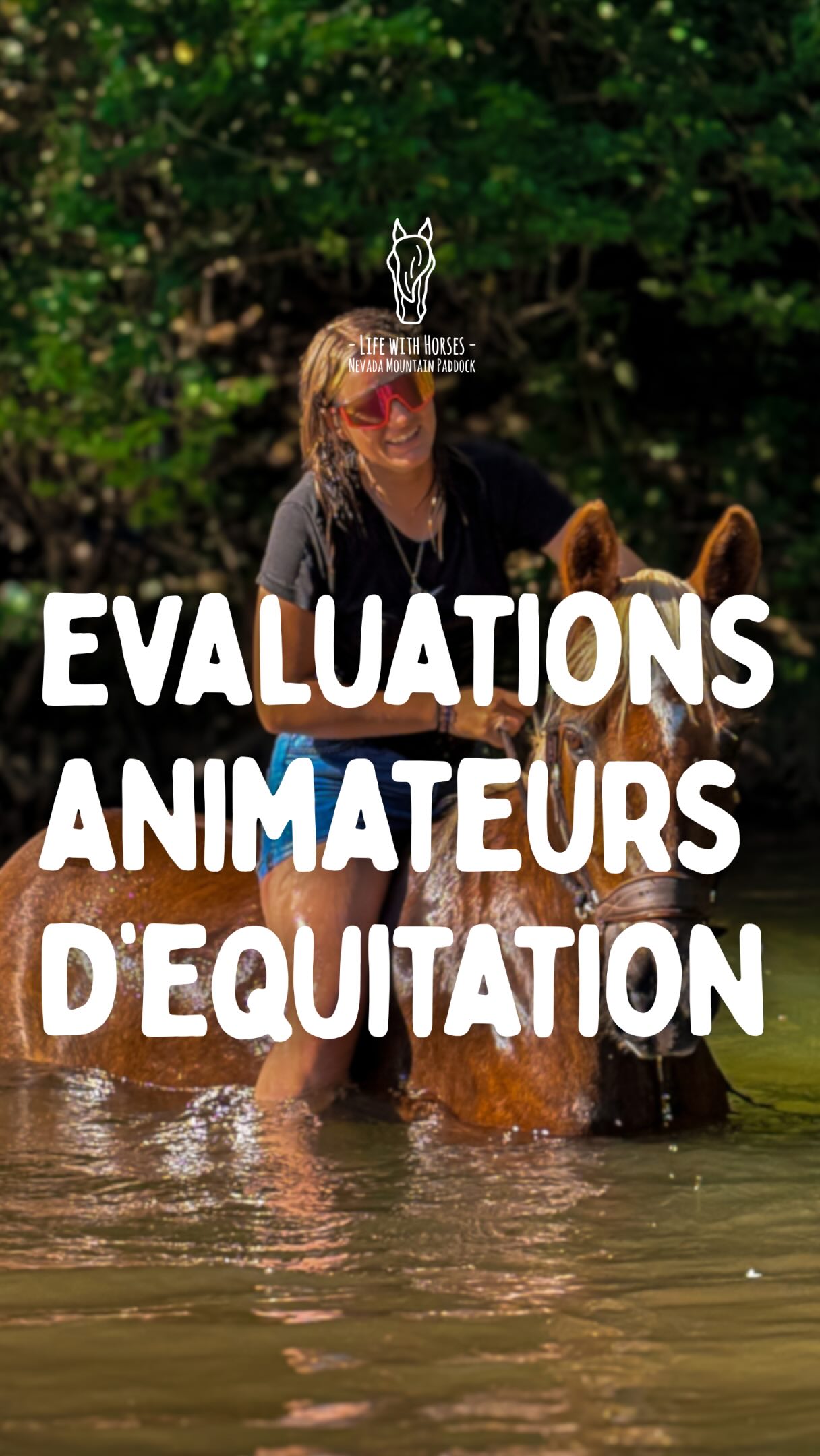 Cette semaine, c’est examens blancs pour nos élèves AE, afin de préparer leurs tests de sortie de juillet 🐴
L’objectif, c’est de les faire évoluer dans des conditions au plus proche de l’examen : déplacer leurs chevaux dans un lieu inconnu, sortir de leurs habitudes et travailler avec la présence d’un jury, pour voir comment elles — comme leurs chevaux — gèrent cette pression.
Un grand merci au @poleequestredeleran pour leur accueil tout au long de cette semaine 🙏
Merci aussi à @beryl.florentin et @ecuries_horse_evolution avec Pablo Weber et Fanny Cattet, qui participent activement à l’évolution des élèves pendant la formation.
Les rentrées 2026 arrivent déjà, avec la formation Animateur d’Équitation, le projet de formation Accompagnateur de Tourisme Équestre, ainsi qu’une autre formation longue, dans la continuité des précédentes, actuellement en développement, dont nous pourrons vous parler que dans quelques temps... 😉
📩 Infos et pré-inscriptions en message privé
🇦🇩 Aquesta setmana són exàmens blancs per a les nostres alumnes AE, amb l’objectiu de preparar les proves finals del mes de juliol.
La idea és fer-les evolucionar en condicions molt properes a les de l’examen: desplaçar els seus cavalls a un lloc desconegut, sortir de les seves rutines i treballar amb la presència d’un jurat, per veure com elles — i els seus cavalls — gestionen aquesta pressió.
📩 Informació i preinscripcions per missatge privat
🇬🇧 This week is mock exam week for our AE students, as they prepare for their final tests in July.
The goal is to place them in conditions as close as possible to the real exam: travelling with their horses to an unfamiliar location, stepping out of their routines and working in front of a jury, to see how both riders and horses handle that pressure.
📩 Information and pre-registrations via private message
#ridewithconnection #equitationbienveillante #formationpro #equitation #moniteurequitation