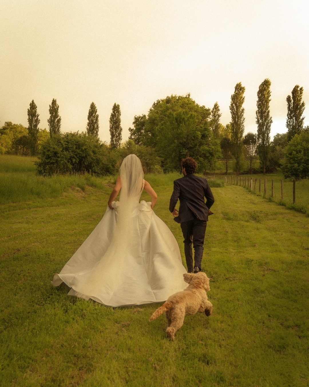 La séance couple du mariage de Doriane & Michael, la beauté d’un moment à deux (supplément arc en ciel) 💍
Lieu : @moulindelaboirie
Photographe : @dorianeglories
Costume : @bordeaux_blandindelloye
Robe : @c_mariage
Gâteau : @maisonguignard
DJ : @pianodeluxe
Repas : @lecomptoirgourmand33 @les_enfants_terribles_sudouest
Décoration : @lerendezvous_boheme
Vidéaste : @thetimelesslovestory