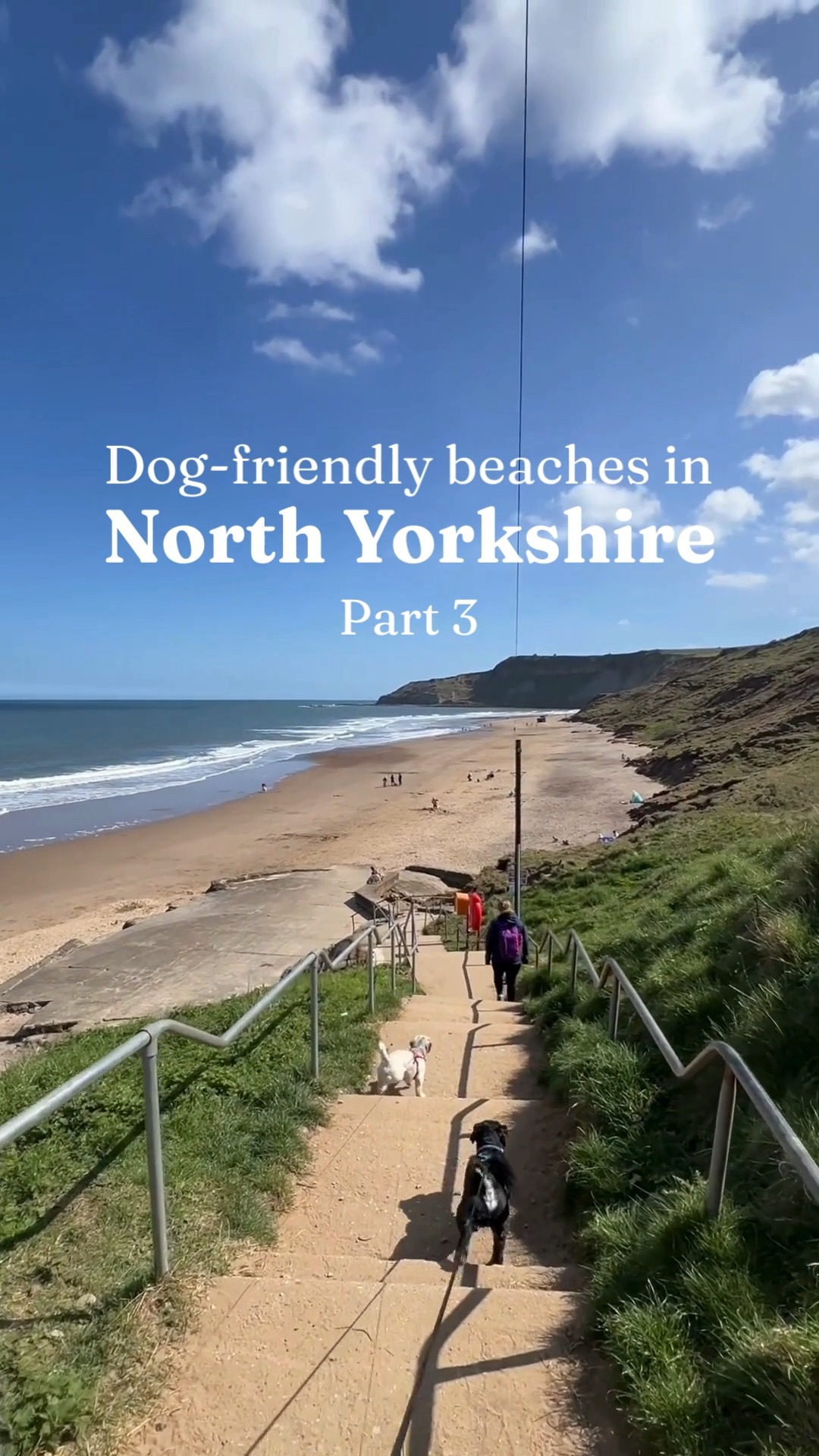 Dog‑friendly beaches in North Yorkshire: Part 3 🐶🌊🏖
We’ve put together a complete guide to exploring the North Yorkshire coast with your dog this summer!
From seasonal restrictions to beaches that are dog‑friendly all year round, plus parking and accessibility info to help you plan the pawfect trip 🐾👉 Click the link in our bio.
📍 Cayton Bay, a wild, rugged bay that’s dog friendly all year round
🌊 Check tide times before you visit
💚 Please clean up after your dog
#AllOnTheCoast | @visitengland | Cayton Bay | North Yorkshire | Dog Friendly Beaches