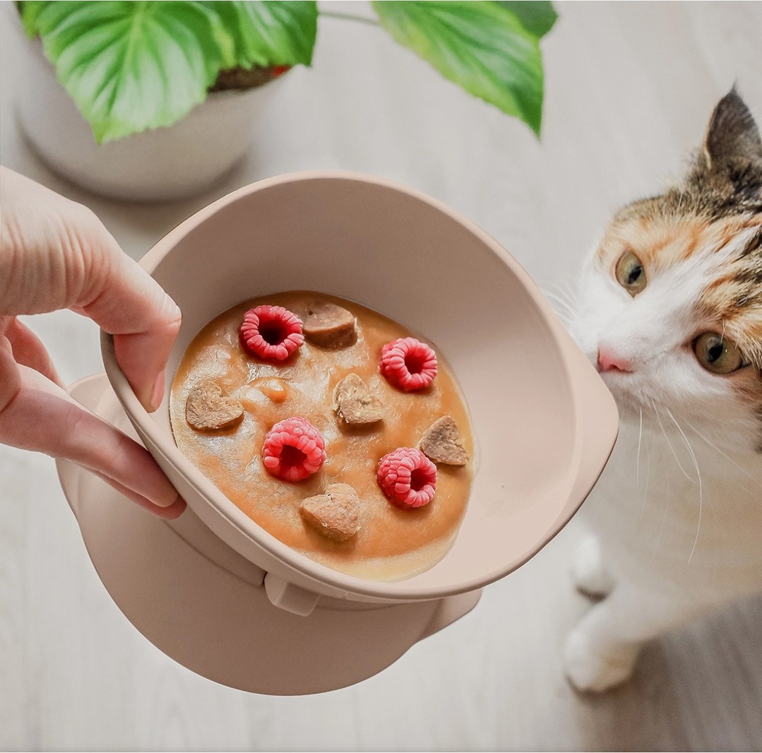 Gamelle surélevée en silicone à découvrir sur la boutique Pattounes !
Réglable, micro-ondable, compatible lave-vaisselle et parfaite pour l’été (peut aller au congélateur).
Disponible en Gris Pierre et Bleu ciel
#chat #bienetrechat #gamelle #accessoireschat #pattounesmagazines