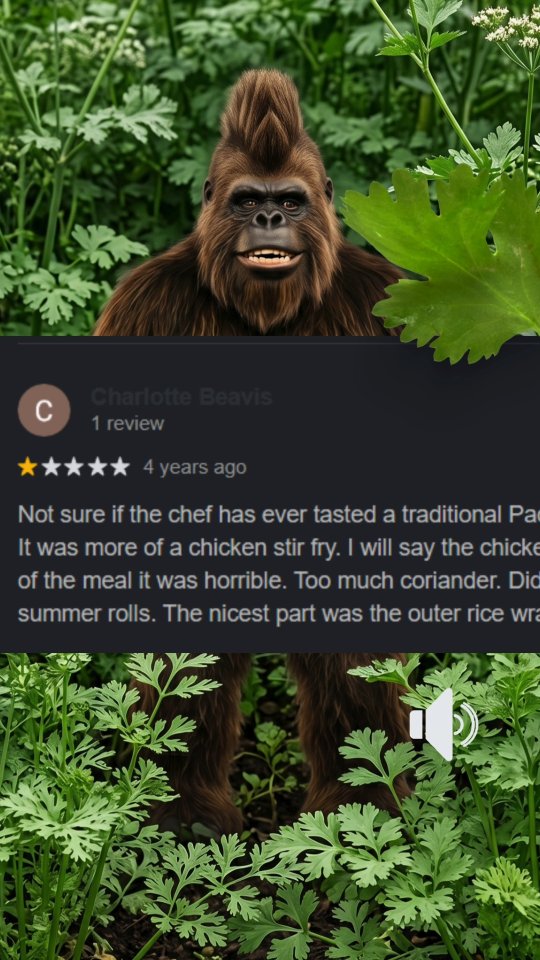 π’ sound on π’ Too much Coriander? πΏ You can just take it off the top of your plate. π€¦πΌ And yup we have our own herb garden too. ποΈπͺ΄ #bigfootsingsonestarreviews