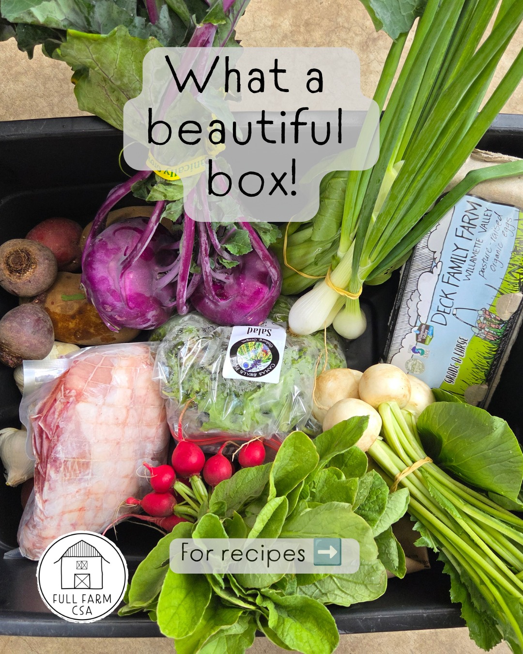 One more recipe for the pork shoulder-based Dinner-in-a-Box. Hash is great for any meal in the day. It tastes indulgent but is fresh and lighter than you think! The Dinner-in-a-Box bundle sets you up for a week of easy meals after roasting the protein. All you need to do is chop and assemble the fresh vegetables, cheese and eggs. Thanks to @red.tail.organics, @camas_swale_farmer, and @organicallygrownco. We live in the best place in the world for produce!
Link in bio to subscribe and shop.