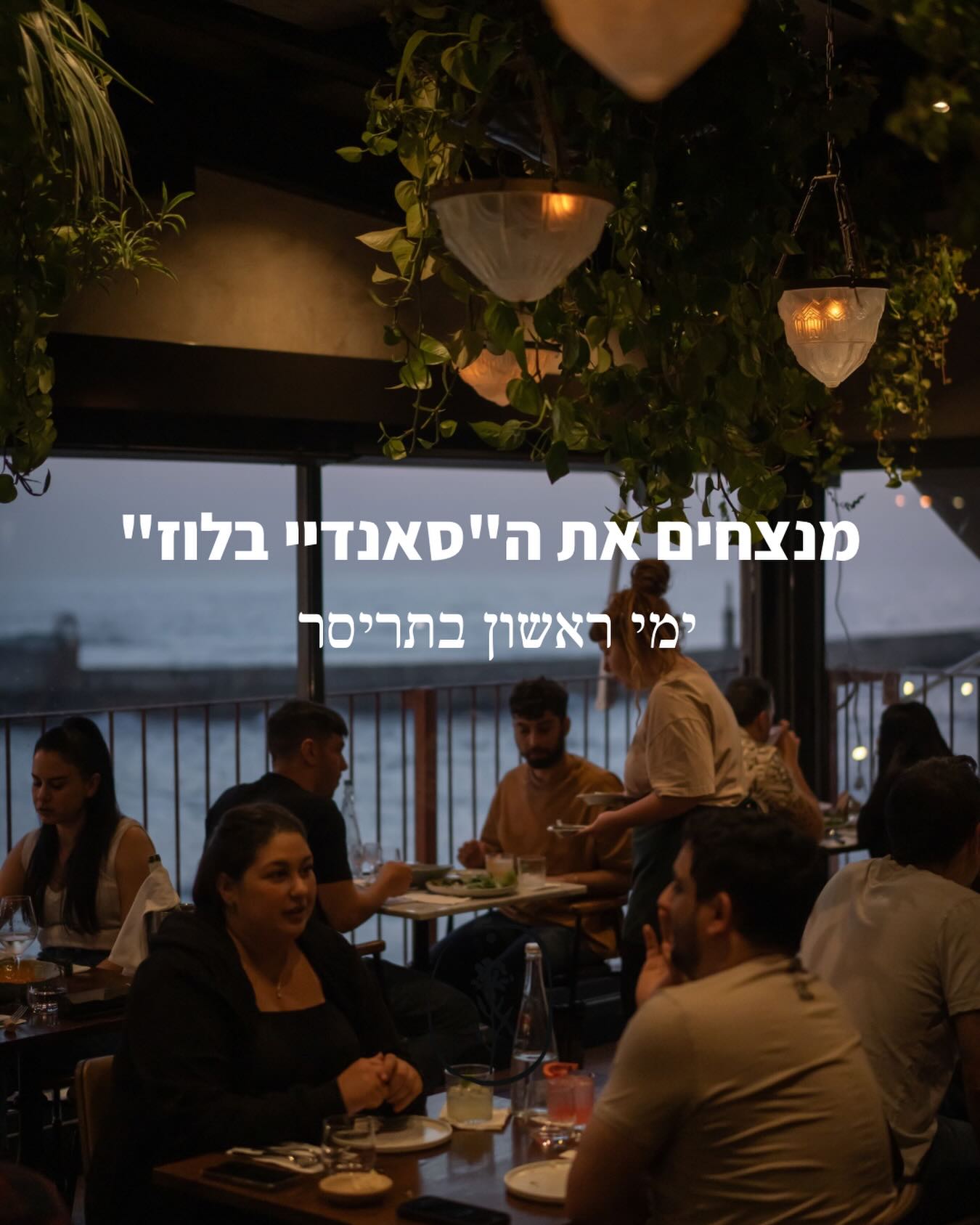 מנצחים את ה”סאנדיי בלוז”:
החל מה7.6 תריסר פותחת את שעריה גם בימי ראשון – עם תפריט אפריטיבו.
בין השעות 18:00 ל-19:00, יוגש במסעדה תפריט אפריטיבו מיוחד וקליל, הכולל 4 ביסים שנבחרו בקפידה במחיר של 44 ש”ח בלבד לסועד, לצד המנות יוצעו יינות נבחרים מיקבים ישראליים במחיר של 46 ש”ח בלבד לכוס.
בנוסף 15% הנחה על תפריט האוכל ותפריט היין לאורך כל הערב בימי ראשון בלבד.