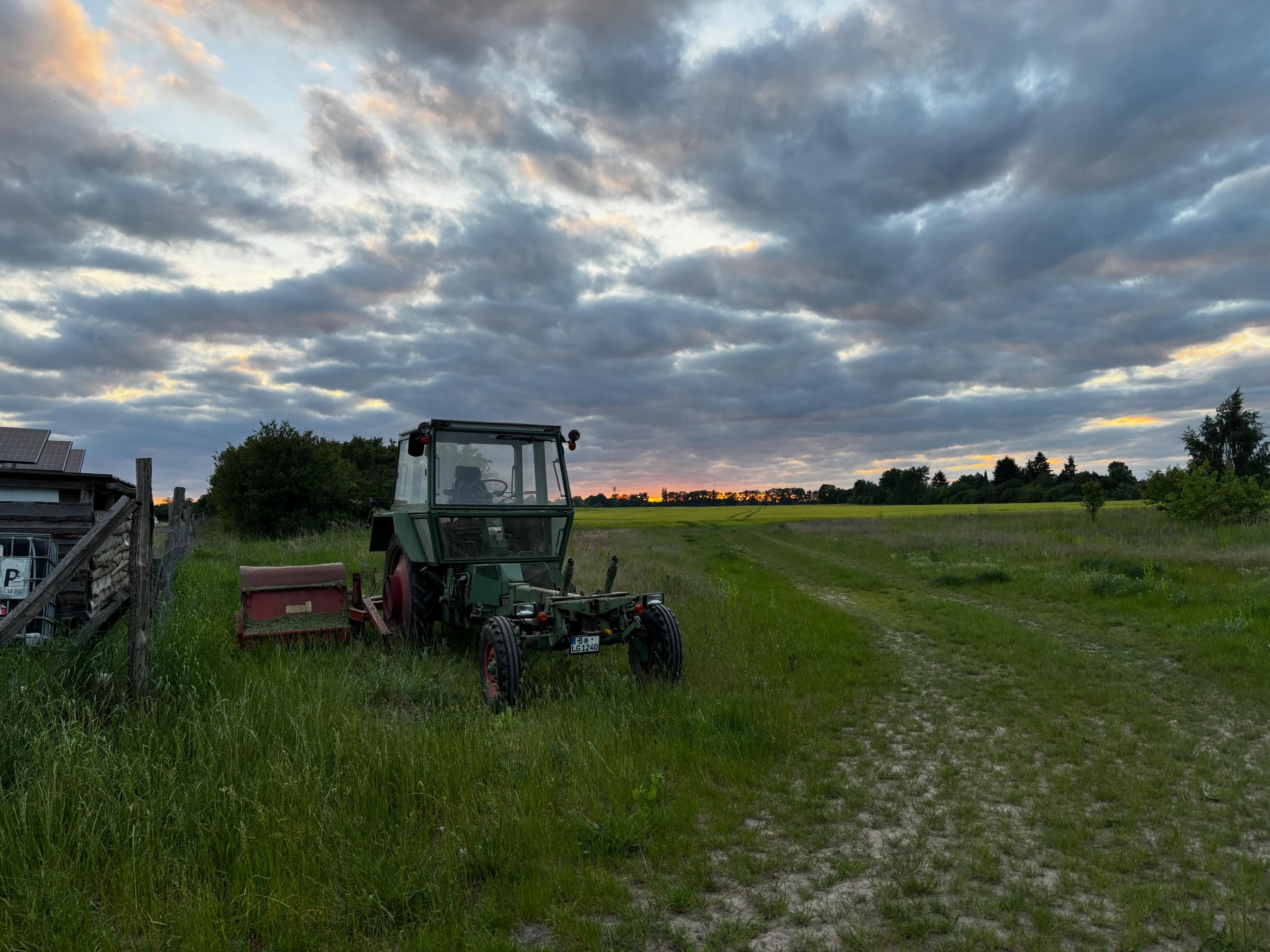 Abendstimmung auf unserem Acker. Magisch und Baldam für die Seele.