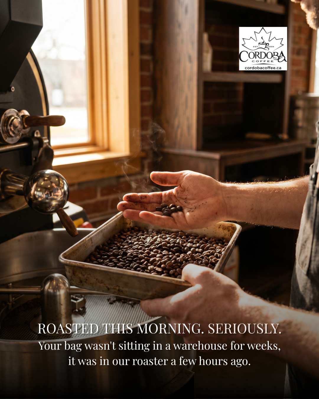Fresh roasting makes all the difference. From the moment the beans are carefully roasted to the time they reach your hands, every step is about preserving flavour and quality at its peak. That’s how we make sure every cup feels as fresh as it should. ☕
👉 Visit us in store for cash and carry or order on Uber. Open 7 days a week
#cordobacoffee #proteinsmoothie #healthydrink #summerdrink #campbellscrossfarm #sunflowerfarm #inglewood
