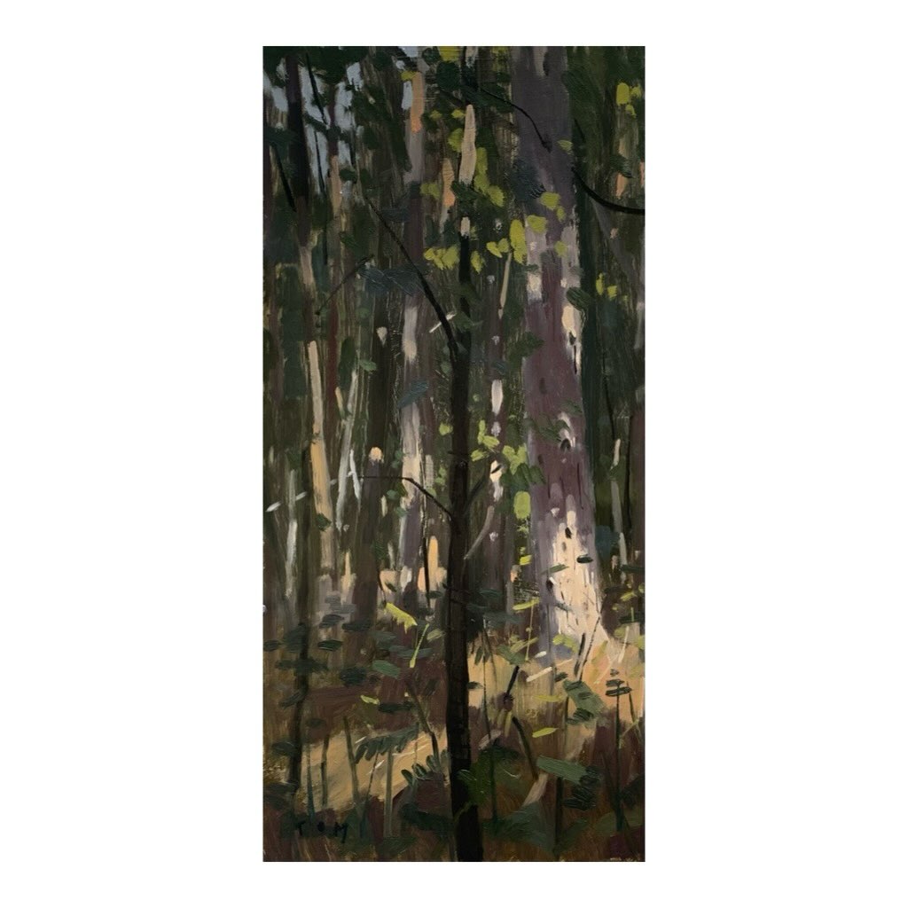 A tree in the middle, what was I thinking?
I find closed woodland scenes very difficult to see let alone paint, but it is fun trying.
#woodland #englishwoodland #oilpainting #pleinair