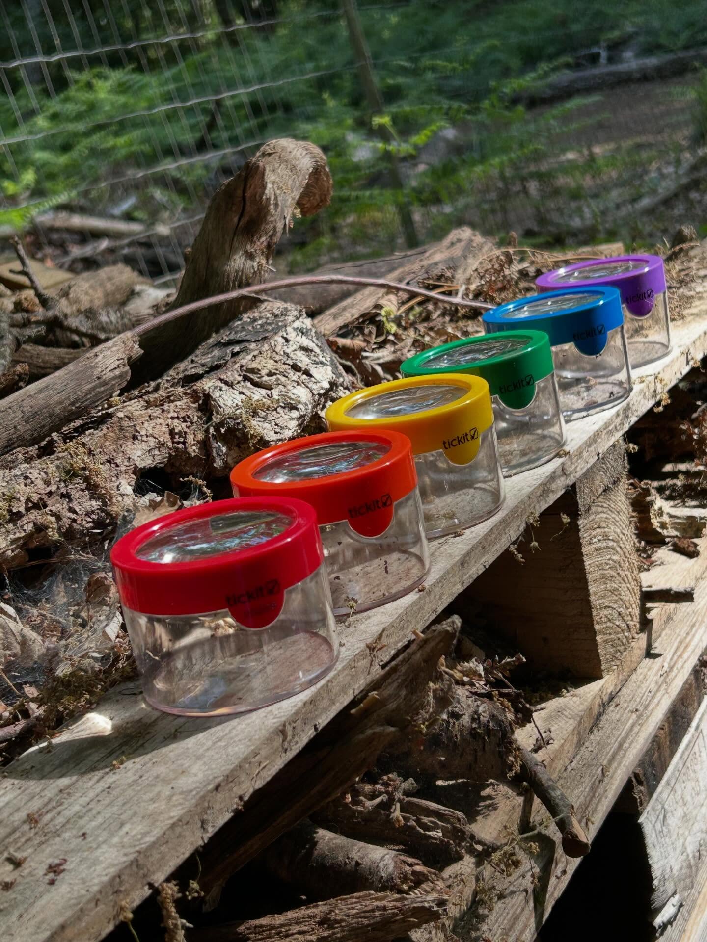 When you buy new rainbow bug finders from one of your favourite suppliers and the kids love them as much as you @tickit_education 🌈🐞🪲🐛🕷️ #bughunting #woodlandplaygroup #bughotel #eyfs #outdoorlearning