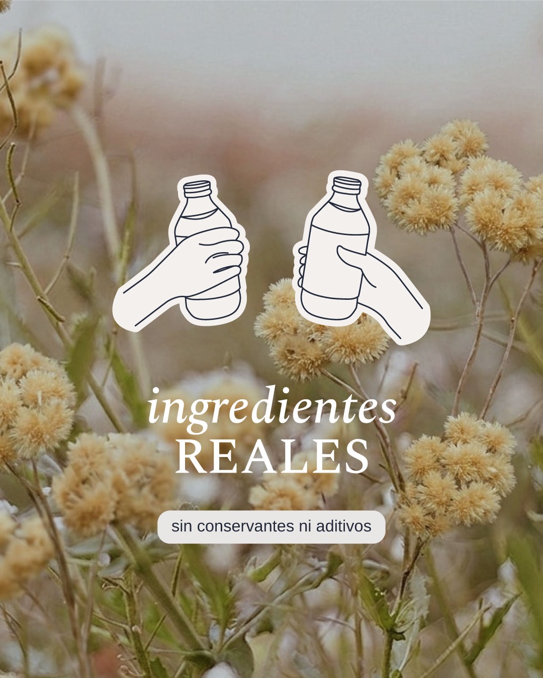 Acá no hay sabores “parecidos a”
—> Hay ingredientes reales, frutas & hierbas de verdad. Sin conservantes, sin aditivos.
Por eso cada botella sabe exactamente a lo que tiene 🌿