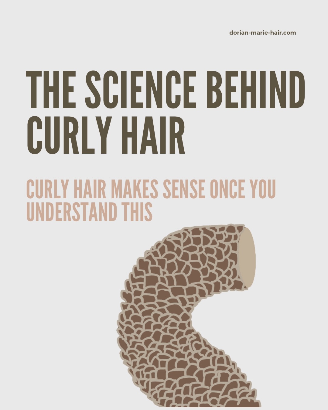 Curly hair makes sense once you understand the science behind why it behaves the way it does.
If you’re a hair professional who enjoyed this breakdown…
👉 Comment “CERTIFICATION” to see if becoming a Certified Scalp Health and Haircare Expert fits your career goals.
Follow @dorian_marie_hair for more science backed hair and scalp education!
#curlyhair #curlyhairscience #hairscience #haireducation #haireducator
Citations:
Bernard, B. A. (2003). Hair shape of curly hair. Journal of the American Academy of Dermatology, 48(6 Suppl), S120-S126. https://doi.org/10.1067/mjd.2003.279
Cloete et al. (2024). Weak hydrogen bonds in temporary shape changes of curly human hair fibers: Preliminary evidence. Journal of Investigative Dermatology. https://doi.org/10.1016/j.jid.2024.06.1282
Thibaut et al. (2005a). Human hair shape is programmed from the bulb. British Journal of Dermatology, 152(4), 632–638. https://doi.org/10.1111/j.1365-2133.2005.06521.x
Thibaut, S., & Bernard, B. A. (2005b). The biology of hair shape. International Journal of Dermatology, 44(Suppl 1), 2-3. https://doi.org/10.1111/j.1365-4632.2005.02798.x
Thibaut et al. (2007). Human hair keratin network and curvature. International Journal of Dermatology, 46(Suppl 1), 7-10. https://doi.org/10.1111/j.1365-4632.2007.03454.x
Sriwiriyanont et al. (2011). Effects of IGF-binding protein 5 in dysregulating the shape of human hair. Journal of Investigative Dermatology, 131(2), 320-328. https://doi.org/10.1038/jid.2010.309
Westgate et al. (2017). The biology and genetics of curly hair. Experimental Dermatology, 26(6), 483–490. https://doi.org/10.1111/exd.13347
Yoshida et al. (2014). The natural trait of the curvature of human hair is correlated with bending of the hair follicle and hair bulb by a structural disparity in the root sheath. Journal of Dermatological Science, 75(3), 195–199. https://doi.org/10.1016/j.jdermsci.2014.06.003