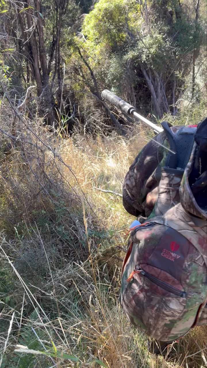 Not the best bail gun but done the trick, boar down! #meathunter #pighuntingnz #pighunter #pighuntingaustralia