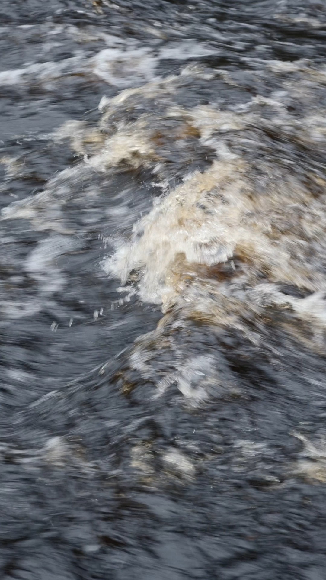 La temperatura del agua influye directamente en las condiciones del río. A medida que aumenta, disminuye su capacidad de retener oxígeno disuelto, aunque estas variaciones no siempre son visibles, afectan la actividad de peces y otros organismos acuáticos. Parte del funcionamiento del sistema depende de ese equilibrio.
#Naturaleza #Rios #Conservacion #MedioAmbiente #Ecologia
#Biodiversidad #CuidadoDelPlaneta #RestauracionEcologica #AguaEsVida
#ProtejamosLaNaturaleza #VidaSilvestre
.
.
.
.
.
.
.
.
Water temperature directly influences the conditions of a river. As it increases, the river's capacity to retain dissolved oxygen decreases; although these variations are not always visible, they affect the activity of fish and other aquatic organisms. Part of the system's functioning depends on that balance.
#Ecology #Biodiversity #SaveOurPlanet #RiverLife #Wildlife #Ecosystem #ClimateAction #Sustainability #ProtectNature