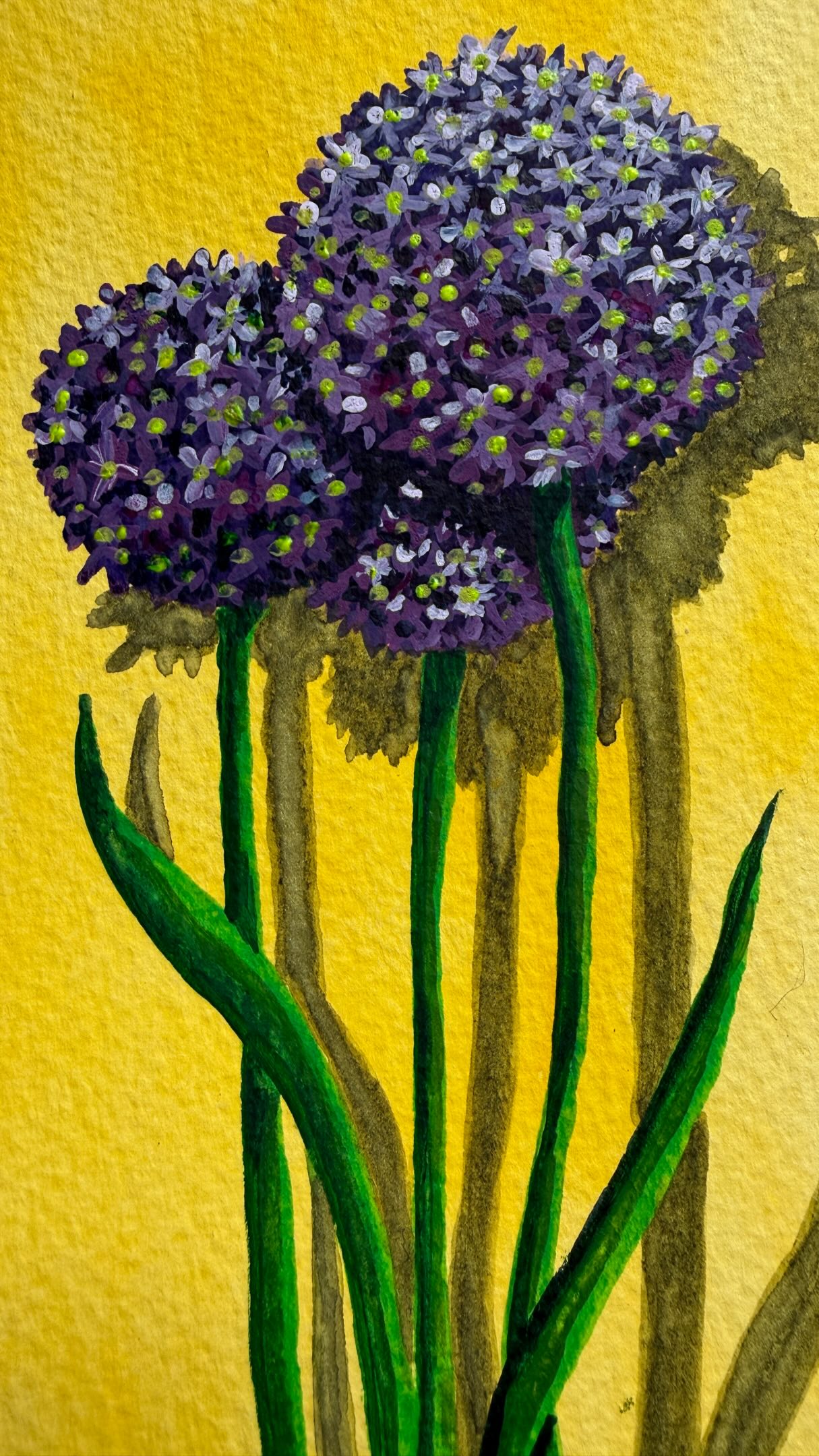 Some painting from me tonight. Got a thing about Allium flowers at the moment and this one is how I envisage making a little machine embroidery on a yellow felt background. Watch this space 👀
#watercolour #alliums #textileartist #comingsoon #newnewnew