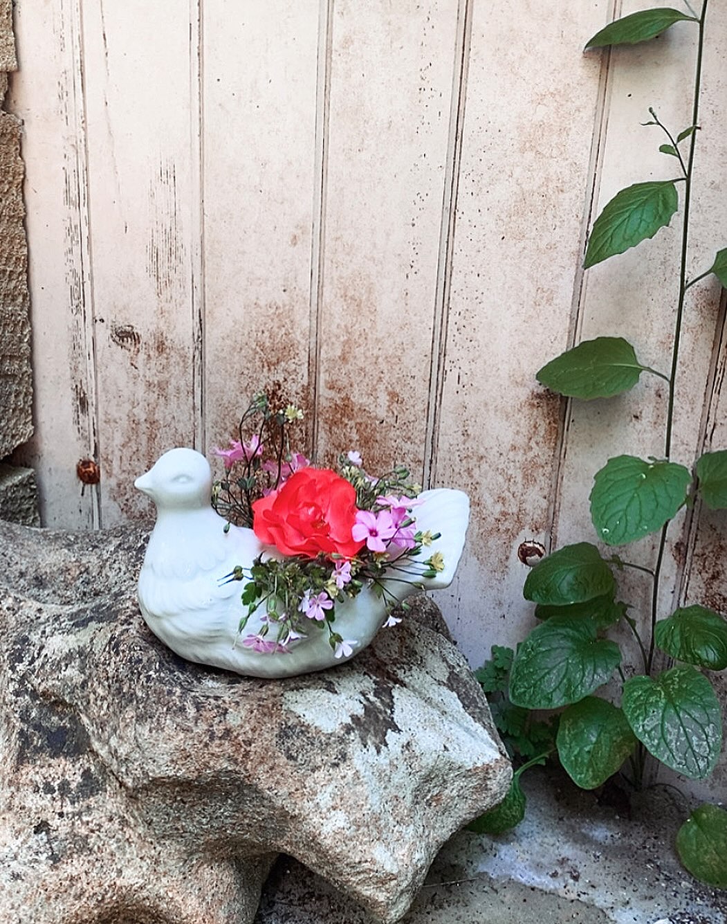 • PAIX •
Il y a des objets qui parlent à mon âme.
Ça a été le cas pour cette jolie colombe / vase.
🕊️ 🌸
Je l’ai fleurie avec l’aide de mon fils, véritable cadeau du ciel puis nous l’avons déposée au pied de l’escalier.
Celui que je me suis revue monter il y a quelques années suivie de celui qui était encore mon mari.
Je lui ai confié mes prières, que mon coeur continue de s’apaiser et que le sien soit vraiment comblé dans la nouvelle vie qu’il a choisi.
J’aimerais tant que chaque personne qui croisera cette colombe ou une autre se souvienne de l’importance de l’amour et de la paix.
Pour soi, pour le monde.
Et puis nous avons terminé par des rires voyant la colombe « faire pipi » car nous l’avions trop remplie d’eau et qu’elle était légèrement penchée.
🙏🏼