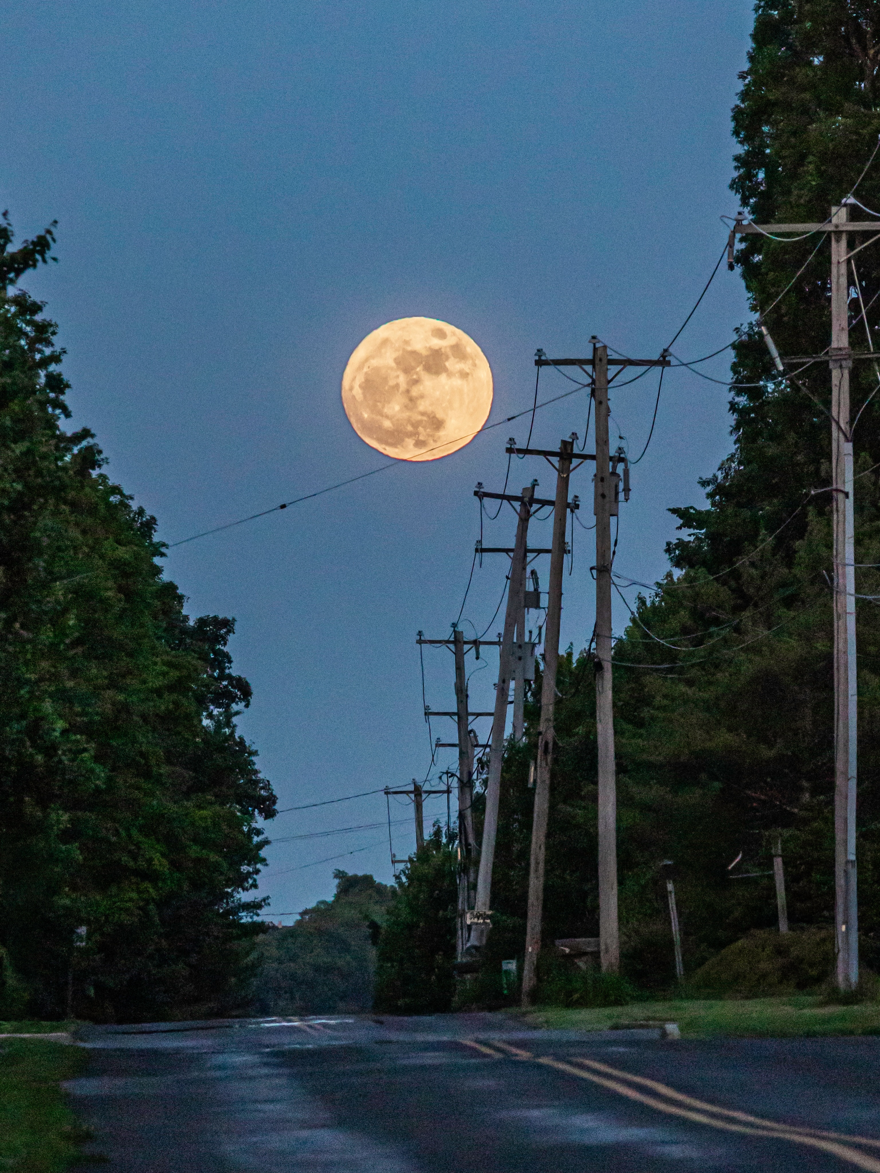 That moon was sure showing off tonight. Who else saw it?! 🌕
.
.
.
#fullmoon #mycanonstory #buckscounty #buckscountypa #moonphotography