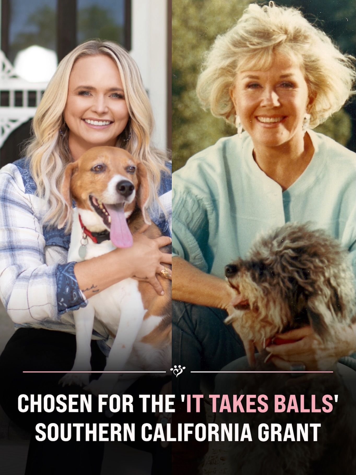 We’re proud to be a recipient of an It Takes Balls Southern California grant! Thank you, @muttnation and @dorisdayanimalfoundation — your generous support allows us to expand our vital low-cost spay/neuter programs and help us reduce the shelter pet population in our community