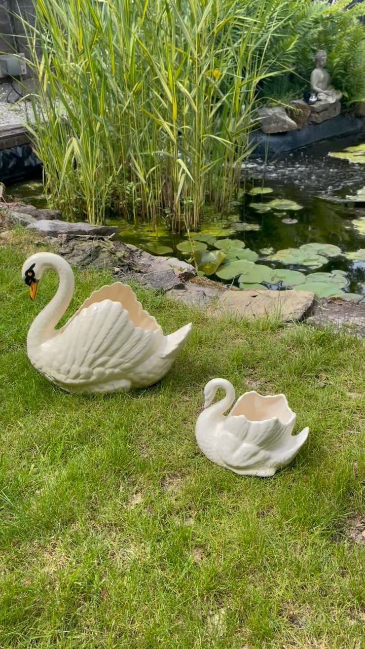 These gorgeous swan planters came home with us today from @ribble.valley.fairs. Aren’t they just gorgeous?
A great way to show off your favourite plants and flowers or just leave them plain and watch them shine ✨ Fabulous condition, beautiful elegant pieces.
Large swan planter H 30cm £55
Small swan planter H 15cm £25
#swan #swanplanter #vintageplanter