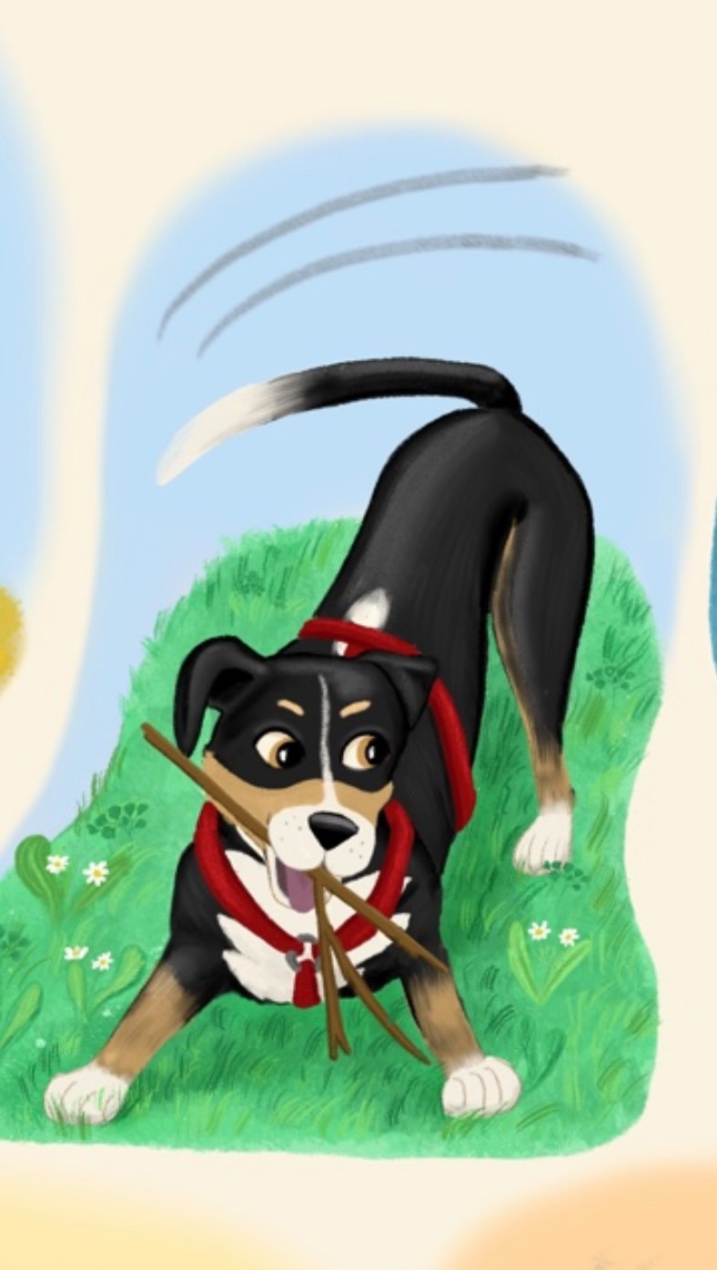 ✨I love observing Zen: his real expressions, movement and personality are one of the most important parts of this character design process.
Zen has been my most patient model ☺️ 🐾
Children’s book illustration & visual storytelling.💖
#childrensbookillustration #characterdesign #illustrationprocess #medilludesign #publishers