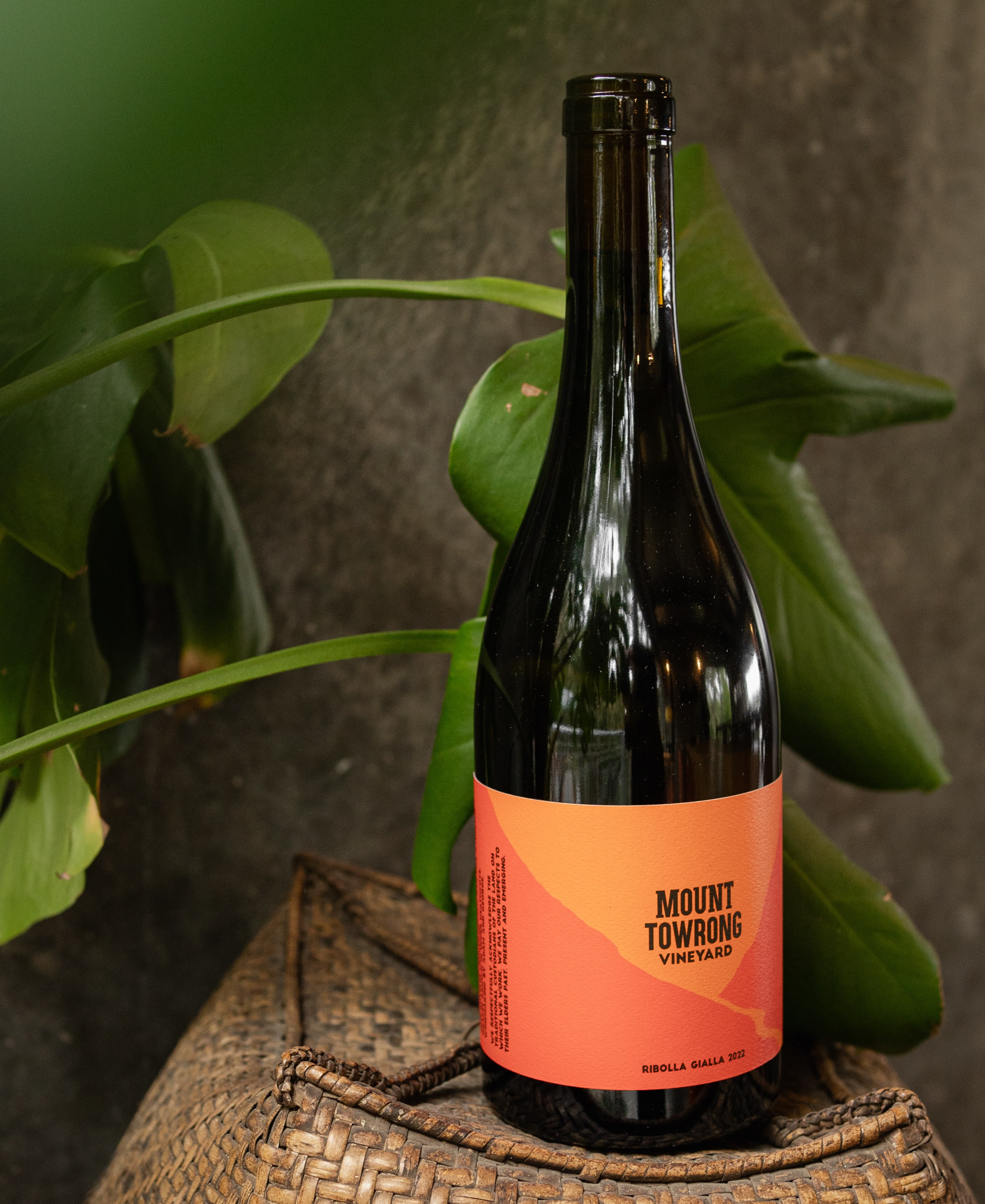 If you haven’t tried an orange wine before, the 2024 Ribolla Gialla is a good place to start.
Four weeks on skins, grown in the ancient Cambrian soils of Heathcote - it’s not your everyday white, and that’s exactly the point.
Complex, textured, and genuinely delicious. Those unfamiliar with the varietal and curious to try it for the first time will be rewarded with this gorgeous wine.
Available to taste and take home at the cellar door Friday to Sunday, and available via our online shop.
#mounttowrong #macedonranges #macedonrangeswine #ribollagialla #orangewine