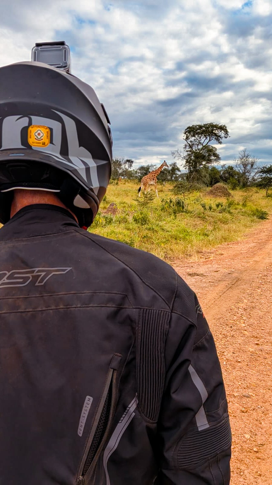 Surrounded by Giraffes in Lake Mburo 🇺🇬😎
#giraffe #uagnda #africanmotoadventures #motorcycletouring