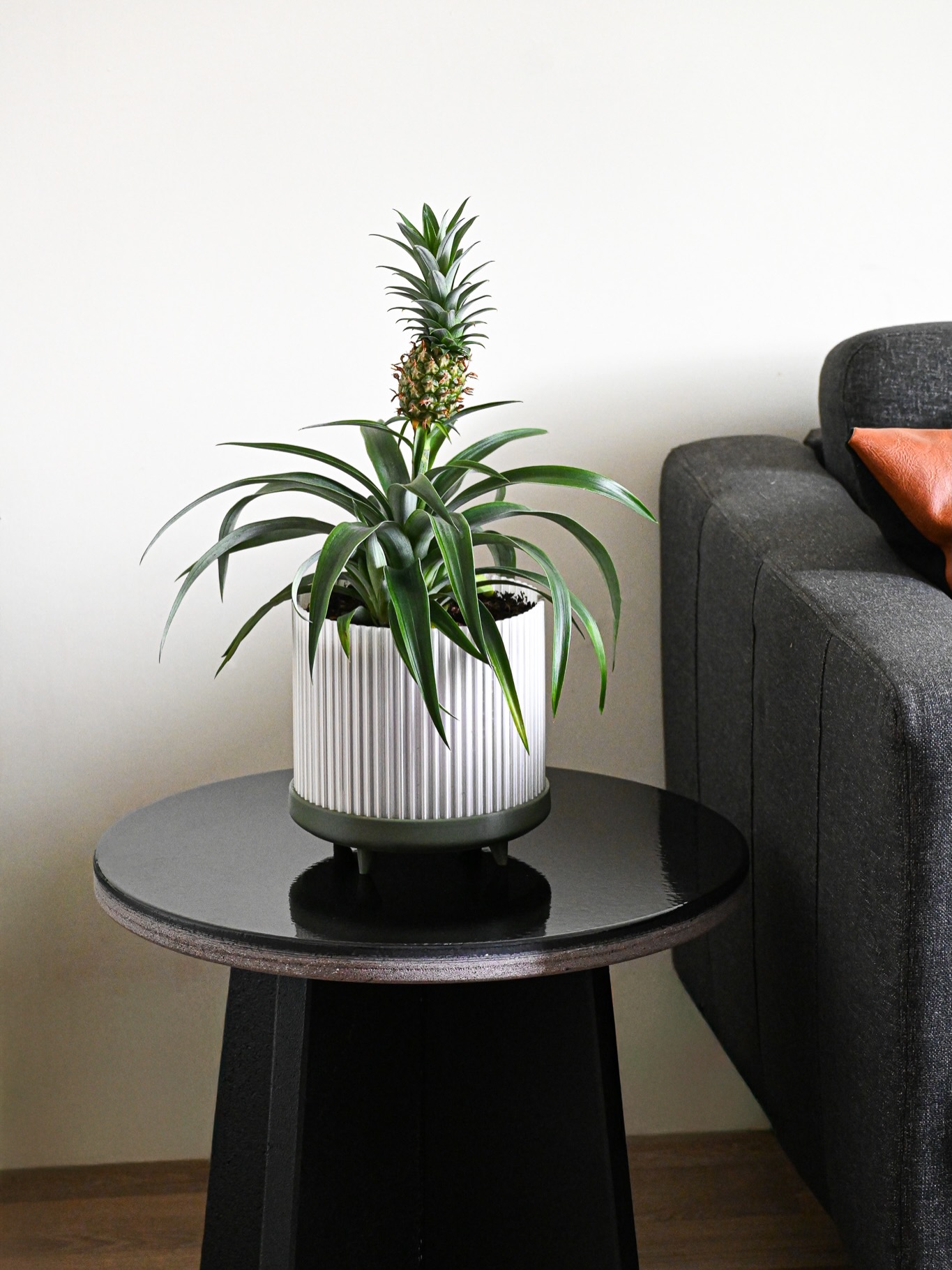🌱 LE POT NESSY 🍍
Avec ses courbes harmonieuses et son design contemporain, le pot Nessy apporte une touche d’élégance à chaque intérieur. Conçu et fabriqué en impression 3D dans notre atelier, il associe esthétique, originalité et savoir-faire artisanal.
Utilisable en pot ou en cache-pot, Nessy intègre une coupelle récupératrice d’eau discrète et pratique pour le quotidien.
🌱 Disponible en plusieurs coloris pour s’adapter à tous les univers.
🇫🇷 Design exclusif et fabrication française signés Le Roy Design.
🍍 Découvrez la collection sur : www.leroydesign.fr (lien en bio)
#leroydesign #jar #designproduit #3dprinting #interiordesign