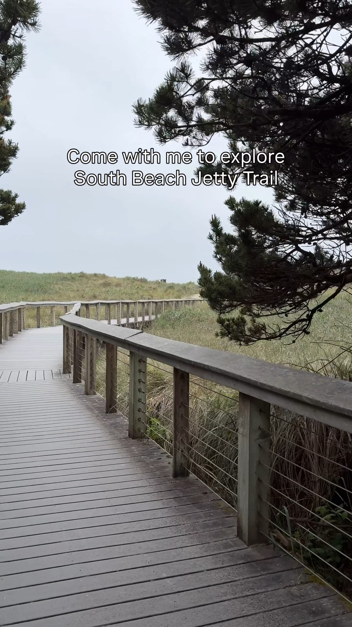 A little bit of this, a little bit of that at South Beach State Park.
Trails, beach access, open space, and a few spots you might not expect.
#discovernewport #newportoregon #oregoncoast #southbeach #coastalexploring