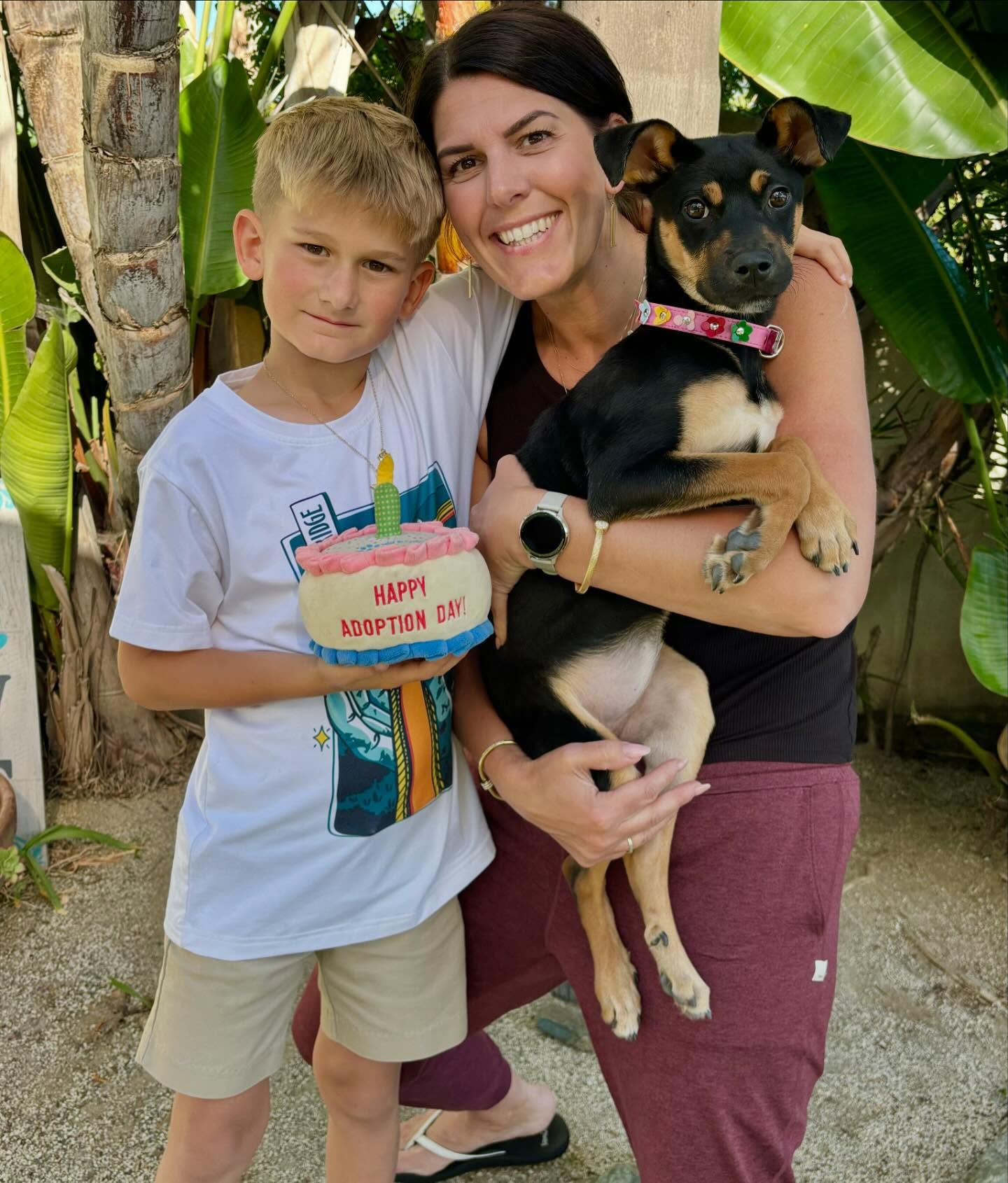 Our sweet little ROXIE just got her Happily Ever After with the most special family. It's a puuurfect match! 🩷🎊🩷
This was Roxie's first time ever running on grass or chasing a ball.. We are so happy we rescued her as a pup & are able to give her a forever family and wonderful life now.
#adoptdontshop #rescuedisourfavoritebreed #dogsarelove #rescuedwithlove #almarescue