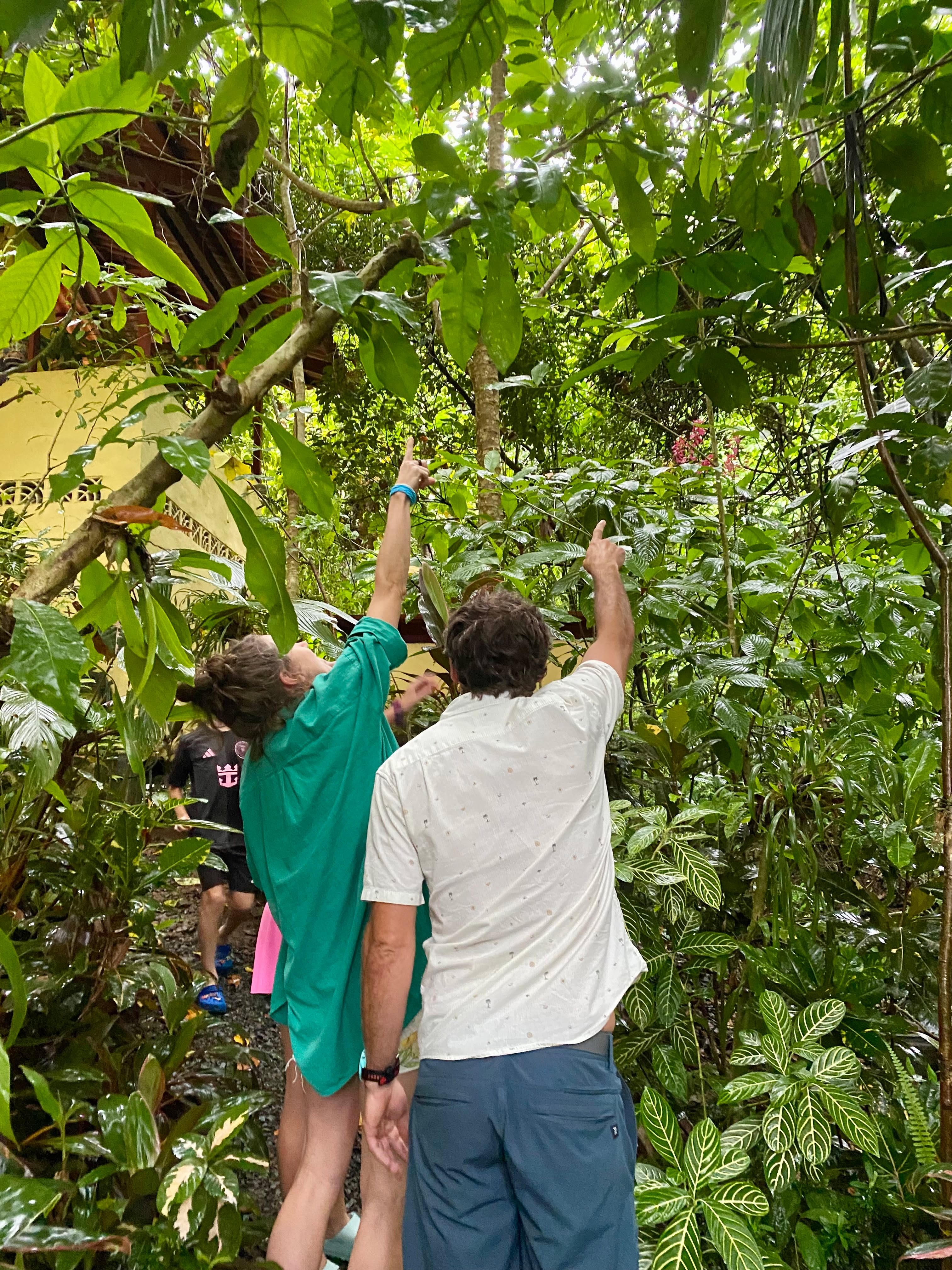 So much to see here where you're surrounded by nature.
https://www.morrillobeachresort.com/allinclusivepackages
#Morrillo #AdventureTraveler #AdventurePanama
#SustainableTravels #SurfingLife #FamilyTravelAdventures #FamilyTravelMoments
#FamilyTravelIdeas #FamilyTravelAdventure #FamilyTravelTime
#AdventureFamilyTravel #AdventureTravelFamily
#AdventureTravelers #AdventureTraveller #AdventureTraveling