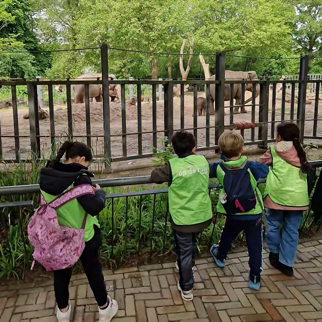Vorige week gingen de kinderen van de onderbouw op avontuur naar Artis! 🐻🦁🐒
Hoewel Artis voor velen bekend terrein is, blijft zo’n dagje uit met je klasgenoten toch iedere keer ontzettend gezellig en bijzonder. Samen ontdekken en lachen.✨
Dank aan alle hulpouders voor jullie begeleiding en enthousiasme. Zonder jullie was deze fijne dag niet mogelijk geweest! 💛