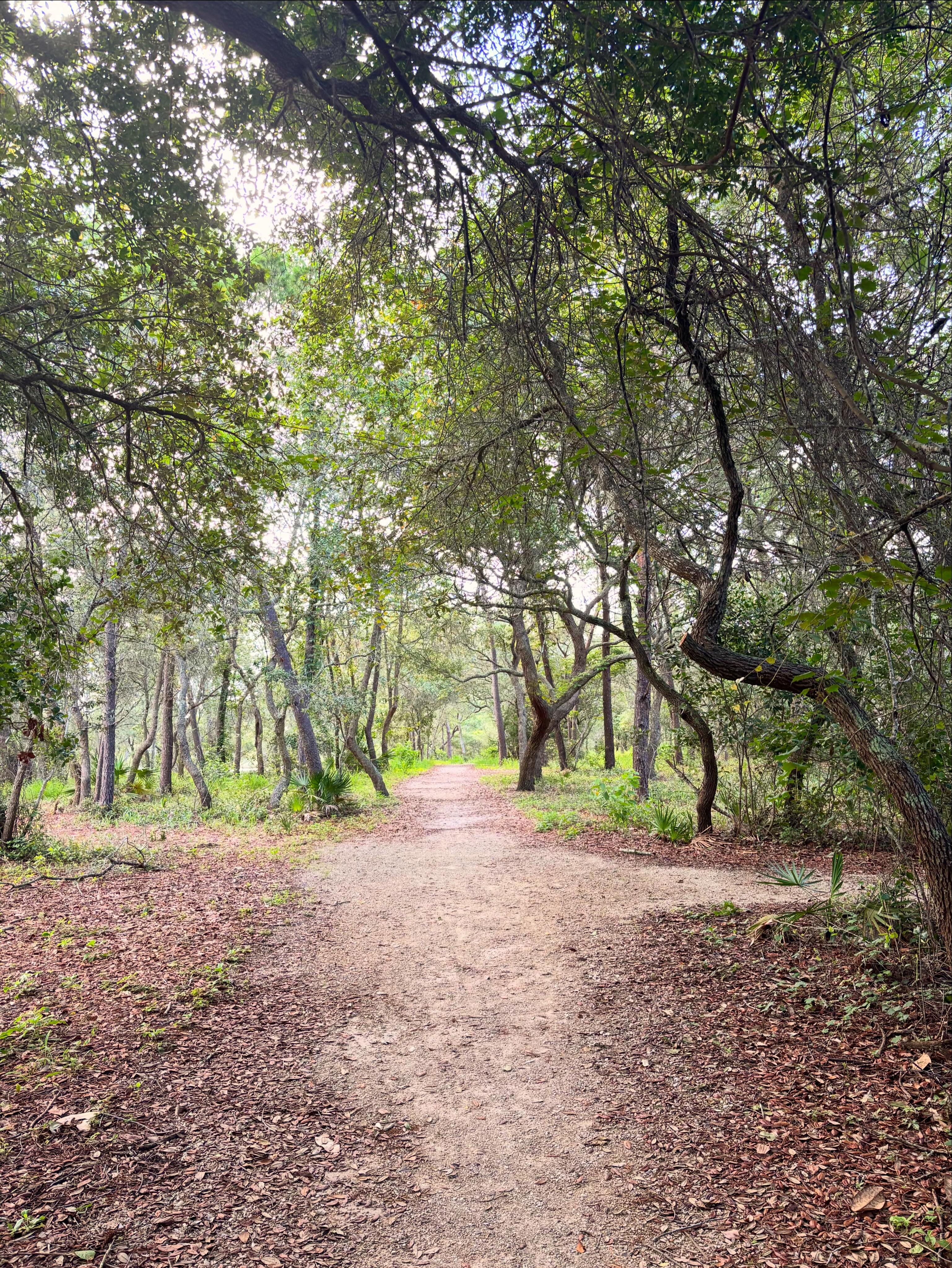 During the hustle and bustle of life, simple but important things seem to fall by the wayside. Today I was reminded how much I LOVE this trail and how much I’ve missed it. This is a gentle reminder to do the things that bring you back to you. And if you’re able, get out and walk or sit with this amazing planet we call home. #nature #grounding #ohsograteful
