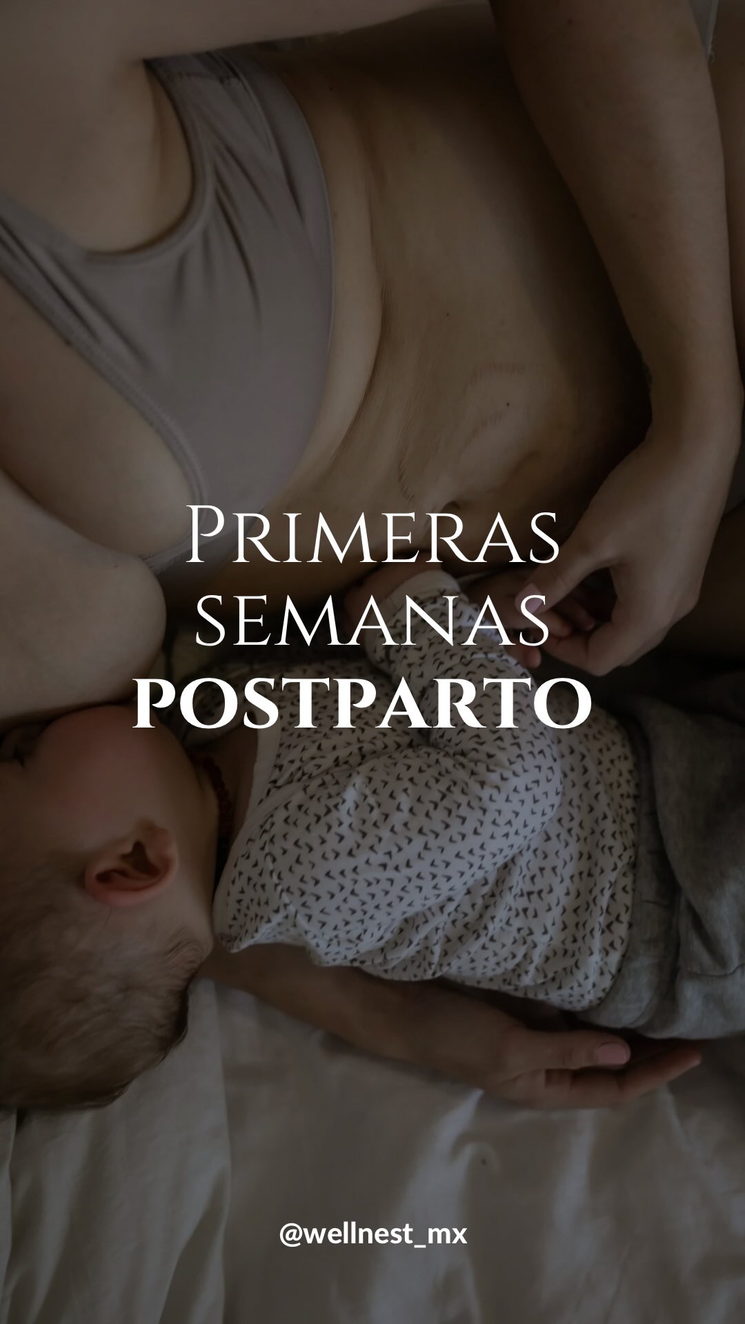 Las primeras semanas postparto son las más
importantes para tu recuperación —
y no tienes que esperar el alta médica para comenzar. 🤍
Durante el embarazo y el parto (vaginal o cesárea)
los músculos más profundos de tu core y piso pélvico
se ven afectados. Empezar a reconectarlos pronto,
de manera sutil y consciente, cambia todo.
No hablamos de ejercicio intenso.
Hablamos de respiración, reconexión y sanar
desde adentro hacia afuera.
En WELLNEST tenemos dos programas diseñados
especialmente para ti:
🌿 12 semanas — para comenzar desde tus primeros
días postparto
🌿 8 semanas — para mamás con más de 5 meses postparto
Porque después de un embarazo, un parto y con
uno o más bebés en casa…
necesitas sentirte bien. Y eso es posible. 💛
Empieza cuando estés lista 👉🏽 www.wellnestmx.com