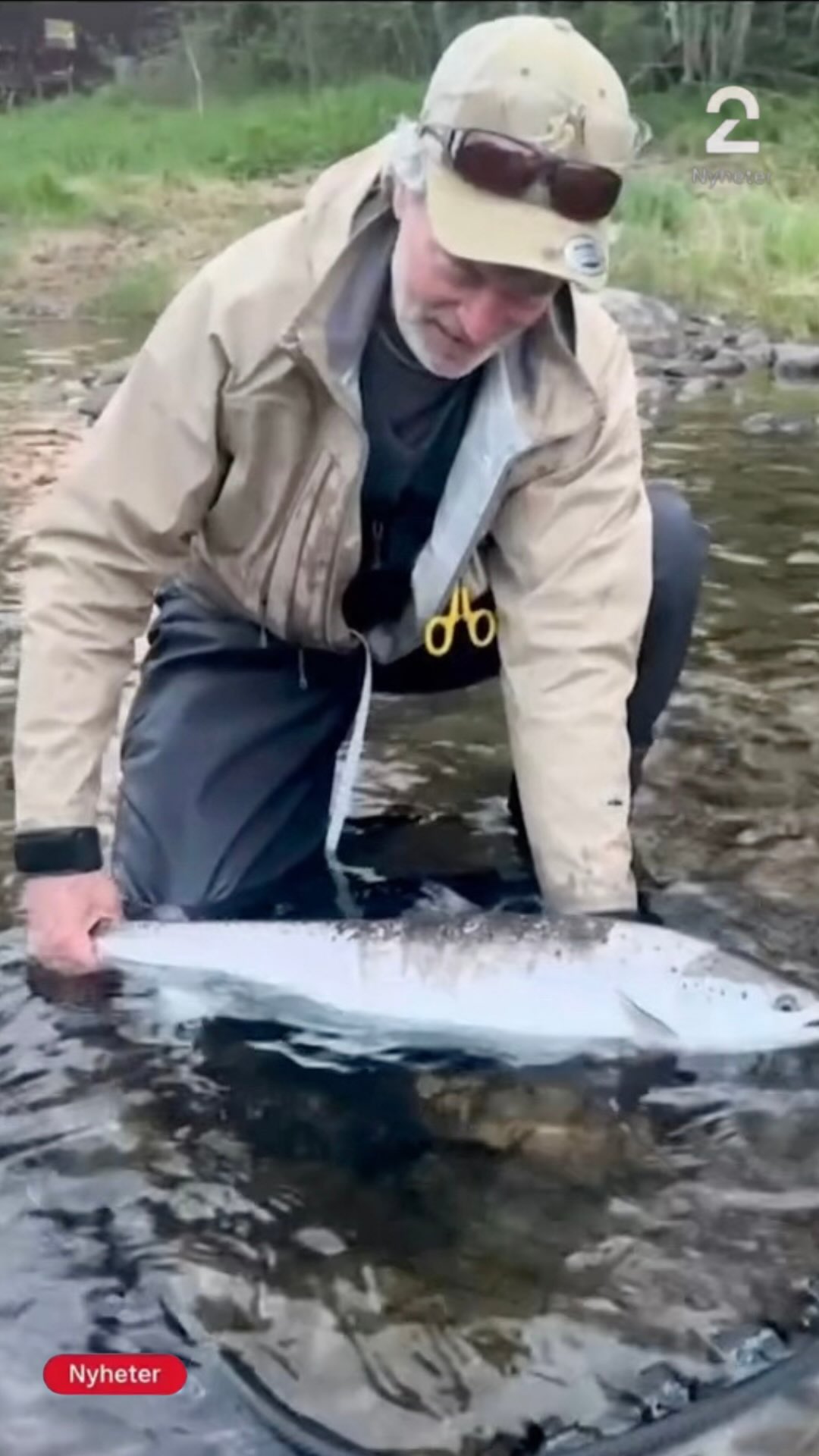 An amazing opening day on the Orkla River yesterday! Hans Kristian hooked two salmon within the first five hours🎣🇳🇴🐟
#salmonfishing #salmonfishingnorway #orkla #orklariver #atlanticsalmon
