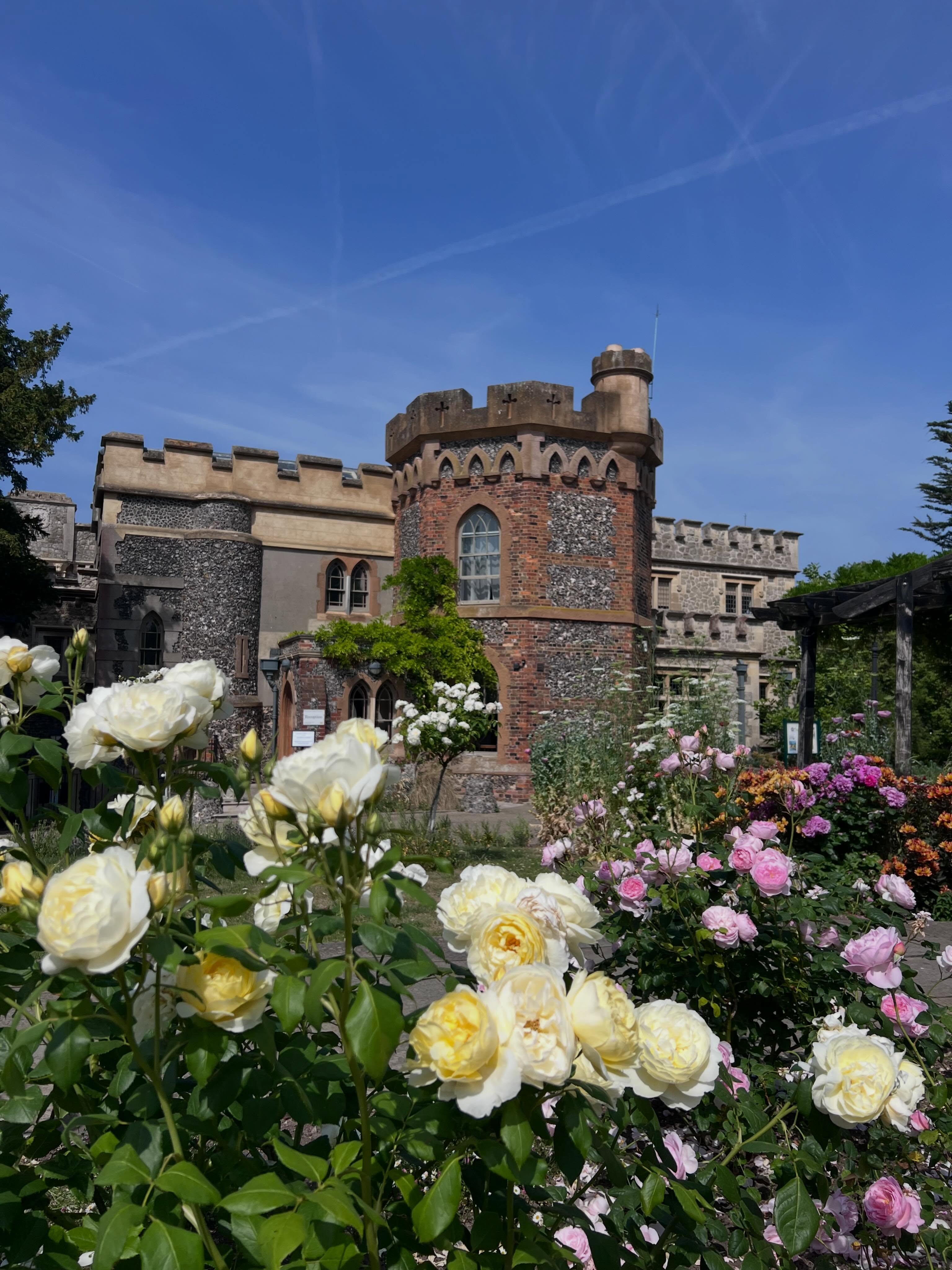 What a beautiful day for a Wedding ๐ฅ
Celebrating Ashleigh and Matthewโs special day. ๐ A huge congratulations to a lovely couple. ๐ฐ