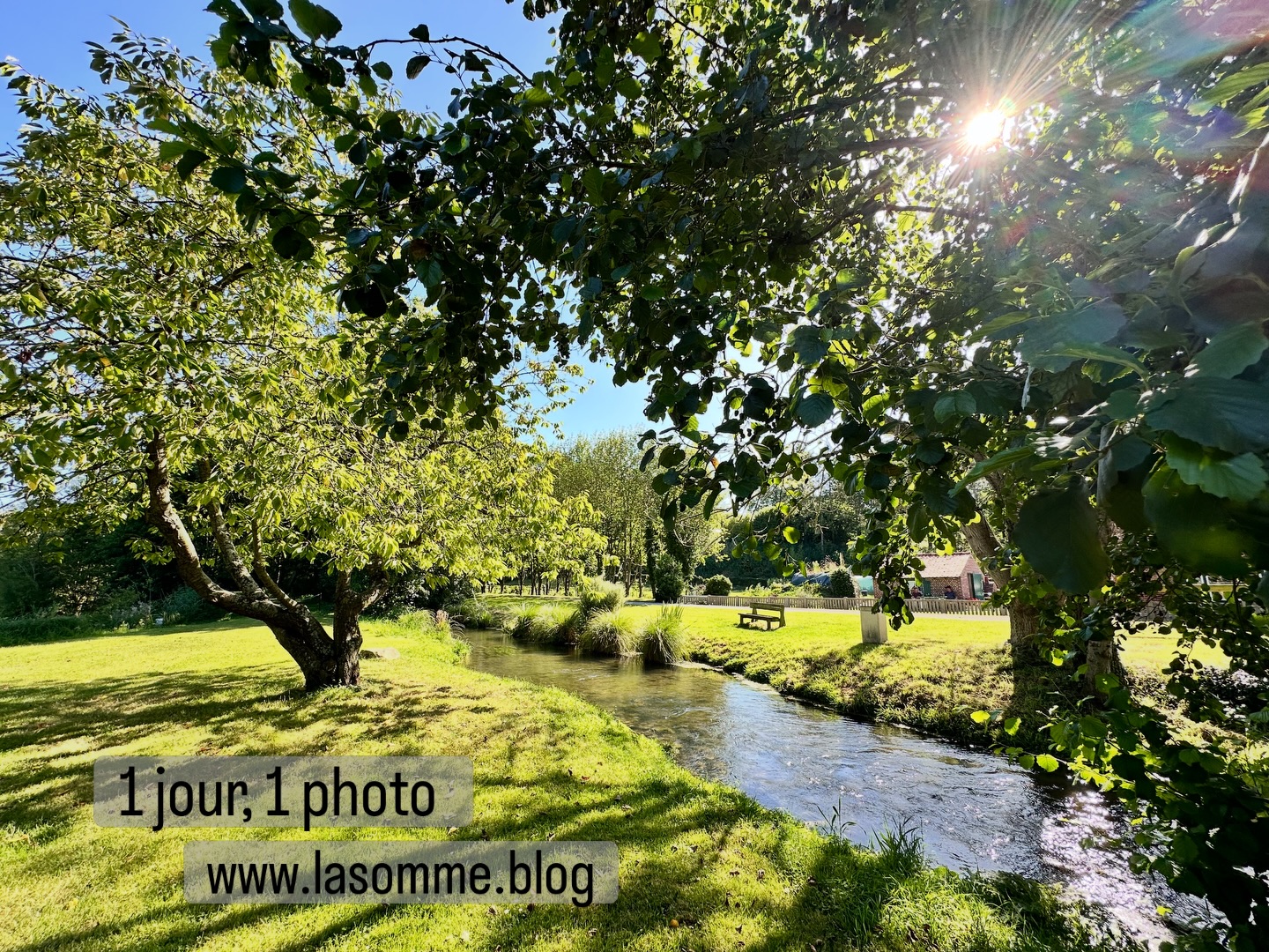 La rivière file en chuchotant, les oiseaux laissent libre cours à leur gaieté, le soleil caresse la peau à travers les ramures. Le printemps à Bettencourt-Rivière. www.lasomme.blog 🦋