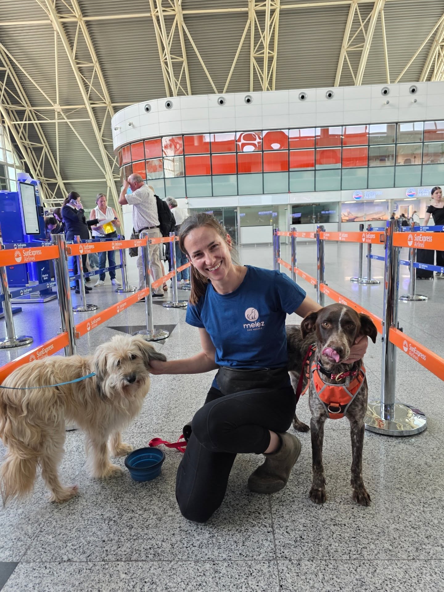 Two more lives transformed✨️
Yesterday lucky Oona and Zoe got to leave the enclosure and travel to a better life in the Netherlands!
Oona is a middle-aged dog who has been through a lot in life. We know she spent time in the government shelter a few years ago, and was released back onto the streets when no-one wanted to adopt her. For the past few years she has been trying to survive on the streets. She is a gentle, quiet, timid dog with absolutely no fighter spirit to defend herself. We have no idea how she managed to last this long. She was spotted by an animal lover, who felt that she deserved better, so they asked us for help. Oona slowly came out of her shell in the Melez enclosure, but we know she is going to be truly happy now that she finally has a calm, safe place to call home ❤️
Zoe came to us from a government shelter, where she was likely abandoned by her owner when she was no longer needed for hunting. Life in the crowded kennels was overwhelming for sensitive Zoe, and she struggled to compete for food and soon fell dangerously ill. When we rescued her, she was skeletal and battling Distemper, a life-threatening virus. We weren't sure if her weakened body could pull through, but Zoe is a fighter. With dedicated care and treatment, she made a miraculous, full recovery.
Now Zoe can leave her difficult past behind her and start enjoying the good life!
All the best sweet Oona and Zoe, be happy!