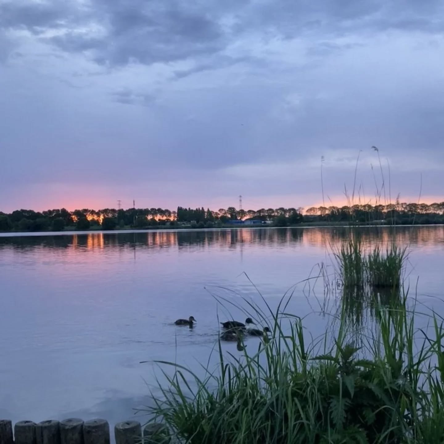 Waterworks: dawn edition - stories on queer grief.
Dear ones, we are back with a new edition of WaterWorks: stories on queer grief.
Hi all, I just wanted to send a reminder for any early birds that together Rajni Shah and I will be hosting a small dawn grief gathering in @Flevopark, Amsterdam next week, Friday 5th June. We did a test this week and it was very special. Lil pic attached! If you'd like to sign up, you can do so, see link in bio xx
Hope to see you there✨.
with love,
Rajni & Sanne.
