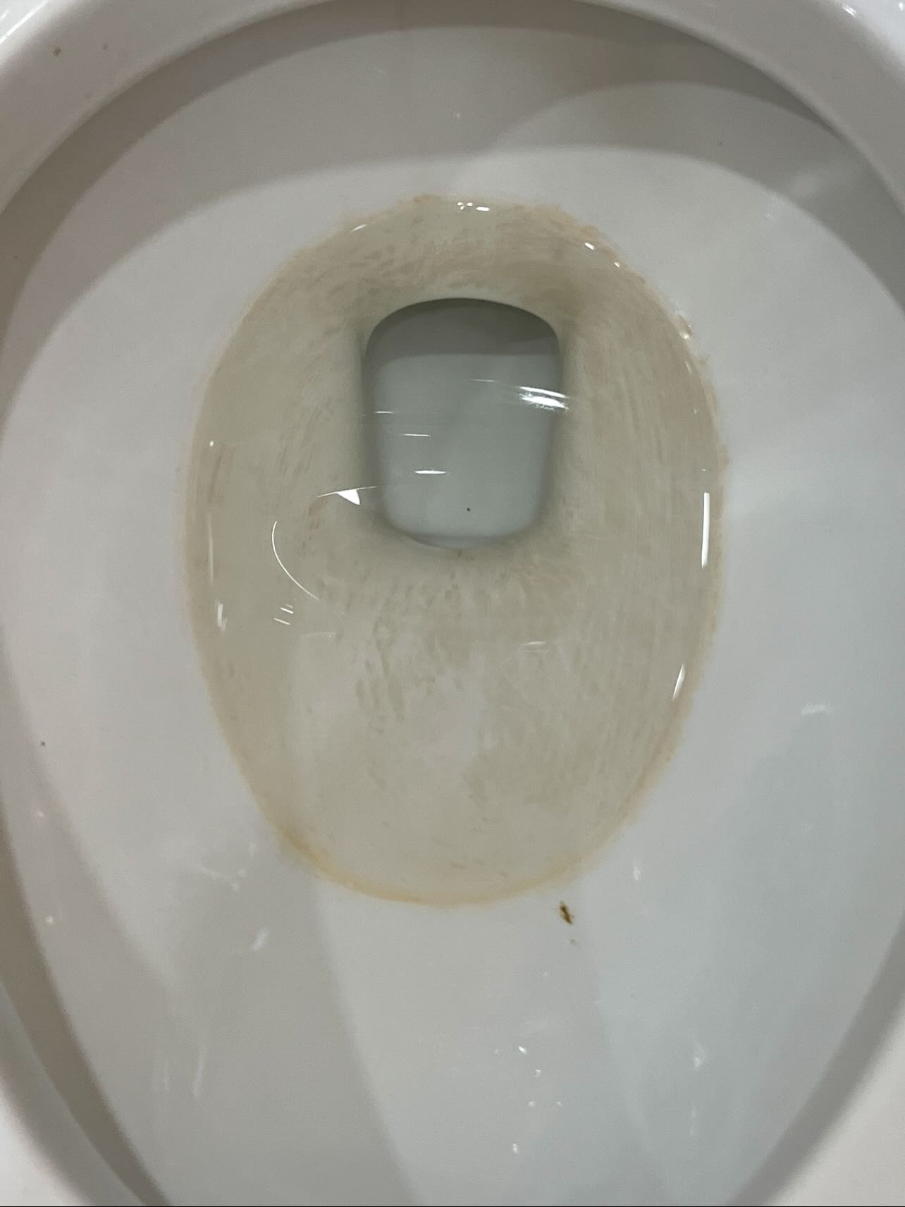 Long Island moms already juggle enough every day👶👧🧒👦
The last thing you should be doing late at night is scrubbing your bathroom toilets 🚽
We help busy Long Island families stay ahead of the mess with weekly, biweekly, monthly, and quarterly house cleaning services🧼
No hassle scheduling
No charge to change your dates anytime
Text us to get cleaned🩵
516-234-0424
www.cornertocornercleaningny.com