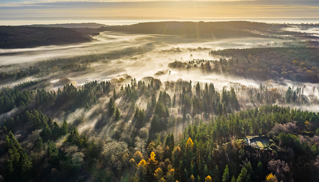 📸 Through the Local Lens with Tom Radford
Wild boar hidden in the undergrowth. Deer stopping in their tracks mid-walk. Morning mist drifting through the trees. Tiny moments in the forest most people walk straight past.
Our latest Through the Local Lens feature shares the Forest of Dean and Wye Valley through @tcrphotographyuk camera, and it’s a brilliant reminder to slow down, look properly, and notice what’s around you.
One of the things we loved most about this feature is Tom’s reminder that some of the best places here aren’t always the famous viewpoints. Sometimes it’s just a spot you stumble across on a walk that stays with you for years.
There’s also a really personal story behind one of his favourite images, and it’s well worth a read.
Read the full feature using the link in our bio.
📷 Photos by @tcrphotographyuk
#VisitDeanWye #ForestOfDean #ThroughTheLocalLens