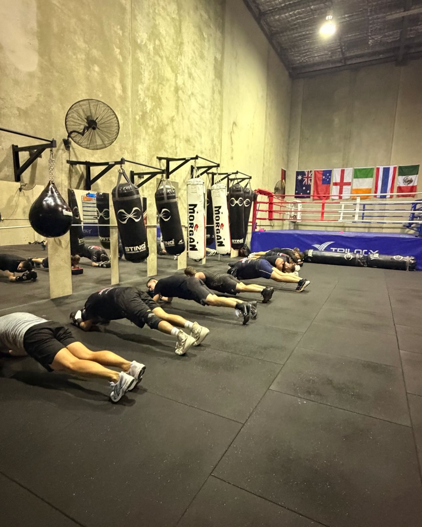 On the break we plank🥊 #boxing #mensboxing #bloodlineboxing #womansboxing #mentalhealth