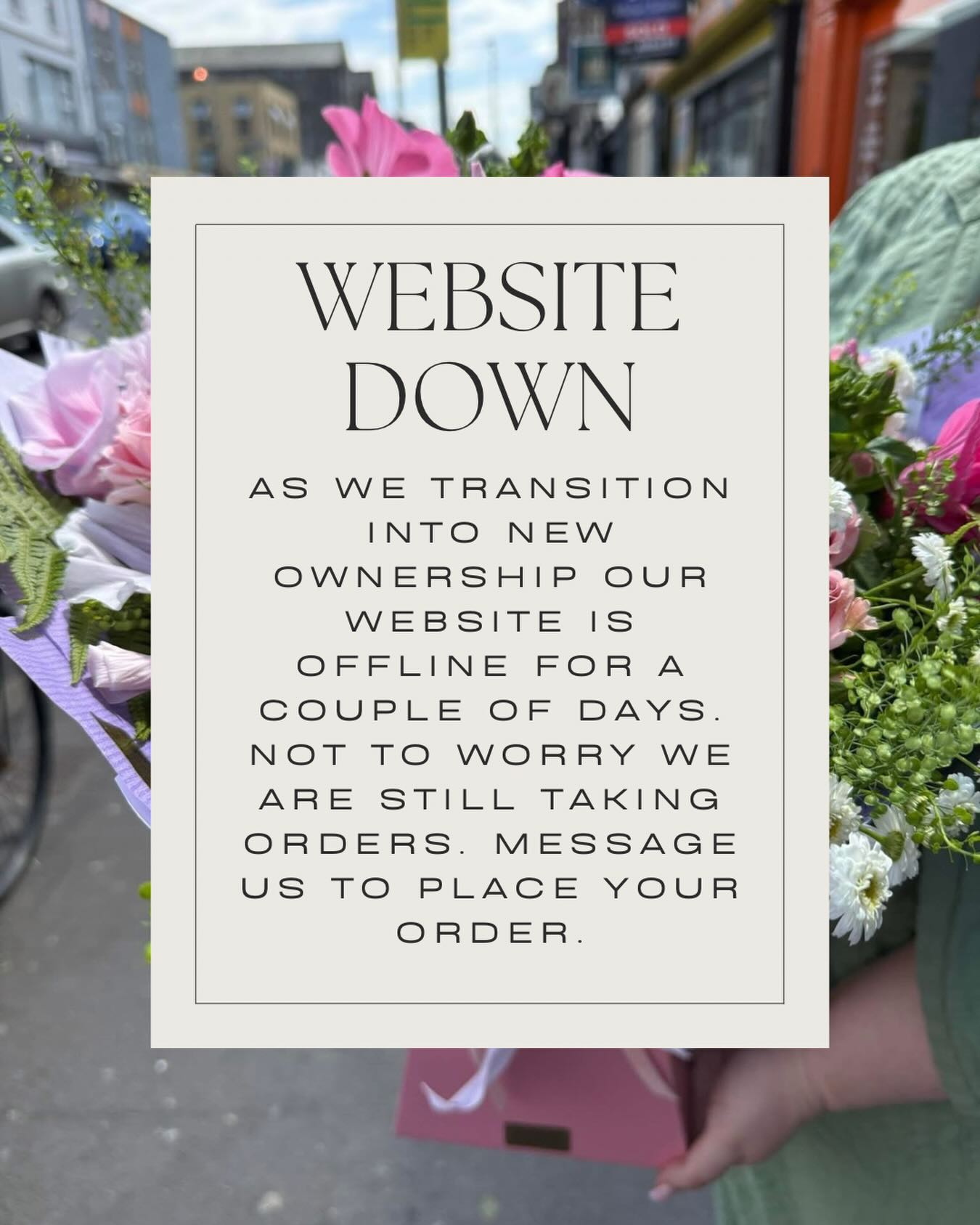 You can also call the shop on 061-312666 during opening hours 🌸