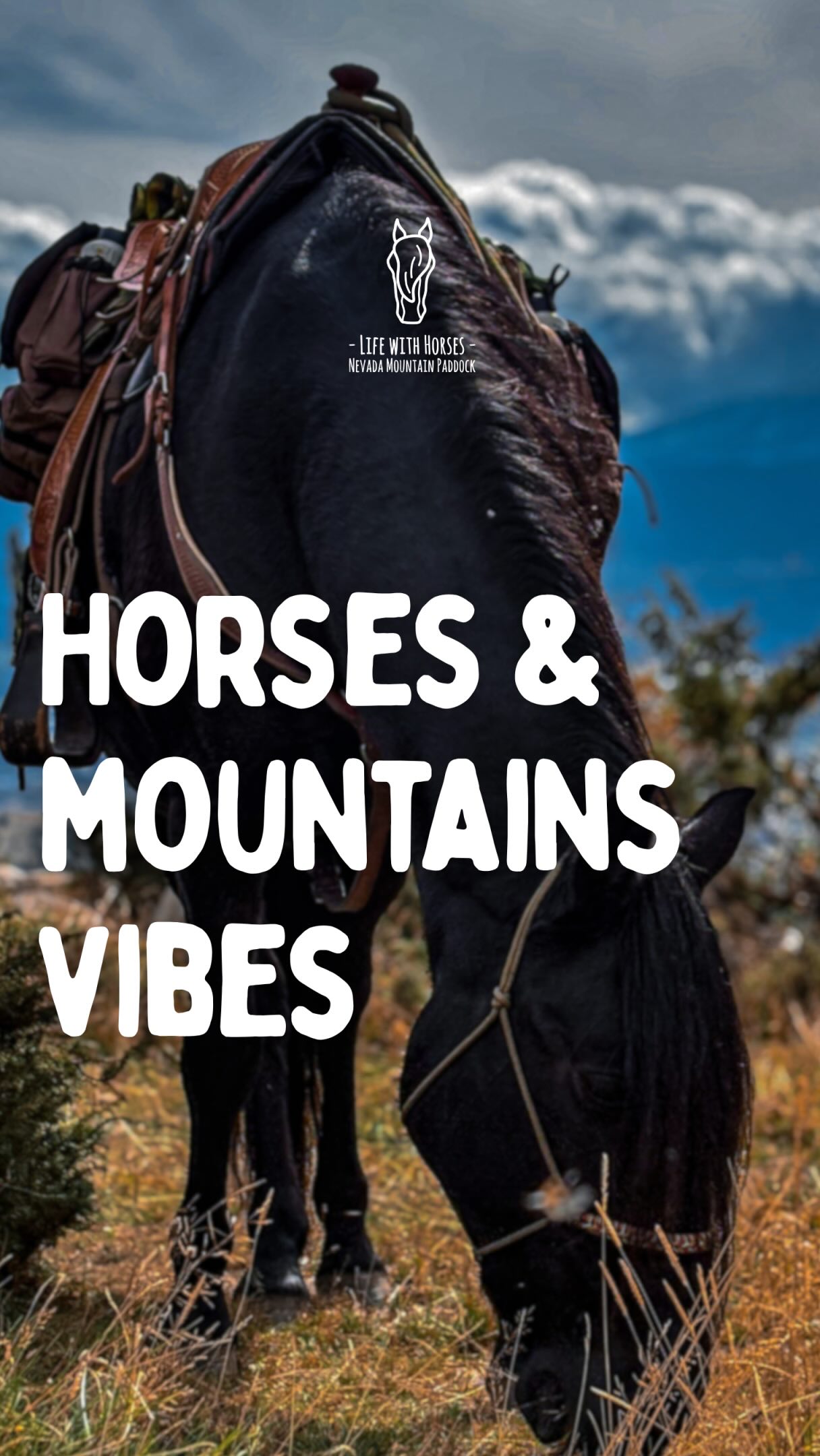 Les yeux pour s’émerveiller devant les paysages, le cœur pour vibrer avec les Chevaux.
Le Voyage Immersif est une expérience que les mots peinent à raconter. Une aventure qui se ressent bien plus qu’elle ne s’explique.
Il faut la vivre pour la comprendre.
Informations et réservations :
www.nevadamountainpaddock.com
🇦🇩
Els ulls per meravellar-se amb els paisatges, el cor per vibrar amb els Cavalls.
El Viatge Immersiu és una experiència que les paraules difícilment poden explicar. Una aventura que es viu molt més del que es pot descriure.
Cal viure-la per entendre-la.
Informació i reserves:
www.nevadamountainpaddock.com
🇬🇧
Eyes to marvel at the landscapes, a heart to connect with the Horses.
The Immersive Journey is an experience that words struggle to describe. An adventure that is felt far more deeply than it can ever be explained.
You have to live it to truly understand it.
Information & bookings:
www.nevadamountainpaddock.com
#horsejourney #southoffrance #ridewithconnection #pyrenees #horselover