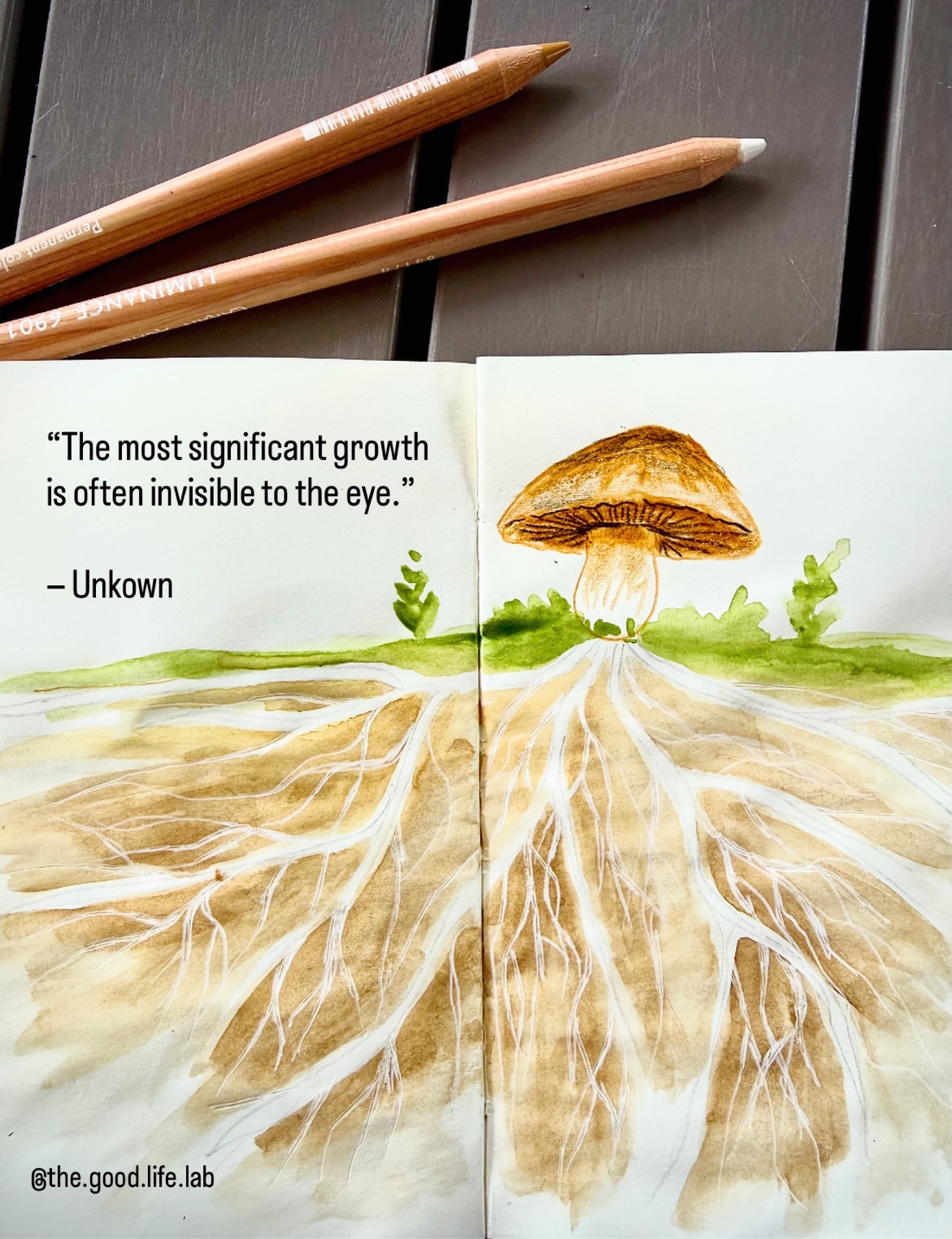 Focus on the roots - not the blossom 🍄🌼
(English below)
*
Manchmal schauen wir auf die Blüten und vergessen die Wurzeln.
Wir sehen den Erfolg, das fertige Buch, die neue Karriere, die Ausstellung, das Unternehmen, die Medaille.
Was wir nicht sehen: die Jahre des Lernens. Die unzähligen Versuche. Die Zweifel. Die Umwege. Die Stunden im Stillen, in denen niemand zuschaut.
Pilze sind dafür ein wunderschönes Bild. Was wir über der Erde sehen, ist nur ein kleiner Teil. Darunter liegt oft ein riesiges Netzwerk, das sich langsam ausbreitet, Verbindungen knüpft und wächst.
Vielleicht ist das im Leben ähnlich.
Nicht alles, was wächst, ist sofort sichtbar.
Und vielleicht geht es gar nicht darum, wann etwas blüht oder ob es überhaupt genau so blüht, wie wir es geplant haben.
Vielleicht geht es darum, weiter Wurzeln zu schlagen. Zu lernen. Neugierig zu bleiben. Verbindungen zu schaffen.
Denn oft entsteht das Wertvollste lange bevor es sichtbar wird.
*
Sometimes we look at the bloom and forget the roots.
We see the book, the business, the promotion, the artwork, the achievement.
What we don't see are the years of learning. The countless attempts. The doubts. The detours. The quiet hours when nobody was watching.
Mushrooms are a beautiful reminder of this. What appears above the ground is only a tiny fraction of the story. Beneath it lies a vast network, slowly growing, connecting, and expanding.
Maybe life works the same way.
Not everything that grows is immediately visible.
And maybe the point isn't when something blooms—or whether it blooms exactly as planned.
Maybe the point is to keep growing roots. To keep learning. Staying curious. Building connections.
Because some of the most important growth happens long before anyone can see it.
*
#growthmindset #creativejourney #mentalhealthillustration #persönlichkeitsentwicklung #trusttheprocess