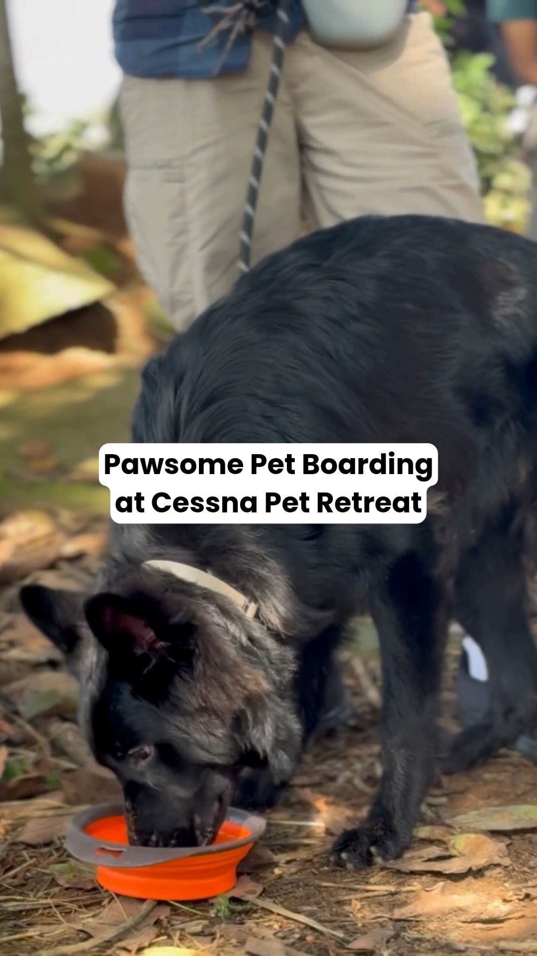 Not all boarding is the same… and your pet deserves the best.
Think open spaces, supervised play, structured routines, cozy rest areas, and a team that treats your pet like family — not just another booking. 💛
Because when done right, boarding isn’t stressful… it’s something your pet actually looks forward to. 🌿🐶
📞 Give your pet the boarding experience they deserve — call 76196 34627 to book their stay at Cessna Pet Retreat.
#cessnalifelineveterinaryhospital #cessnalifeline #20yearsofcessnalifeline #cessnapetretreat #petboarding #petvacation #dogboardingindia #petresort #petparentsindia #dogsofindia