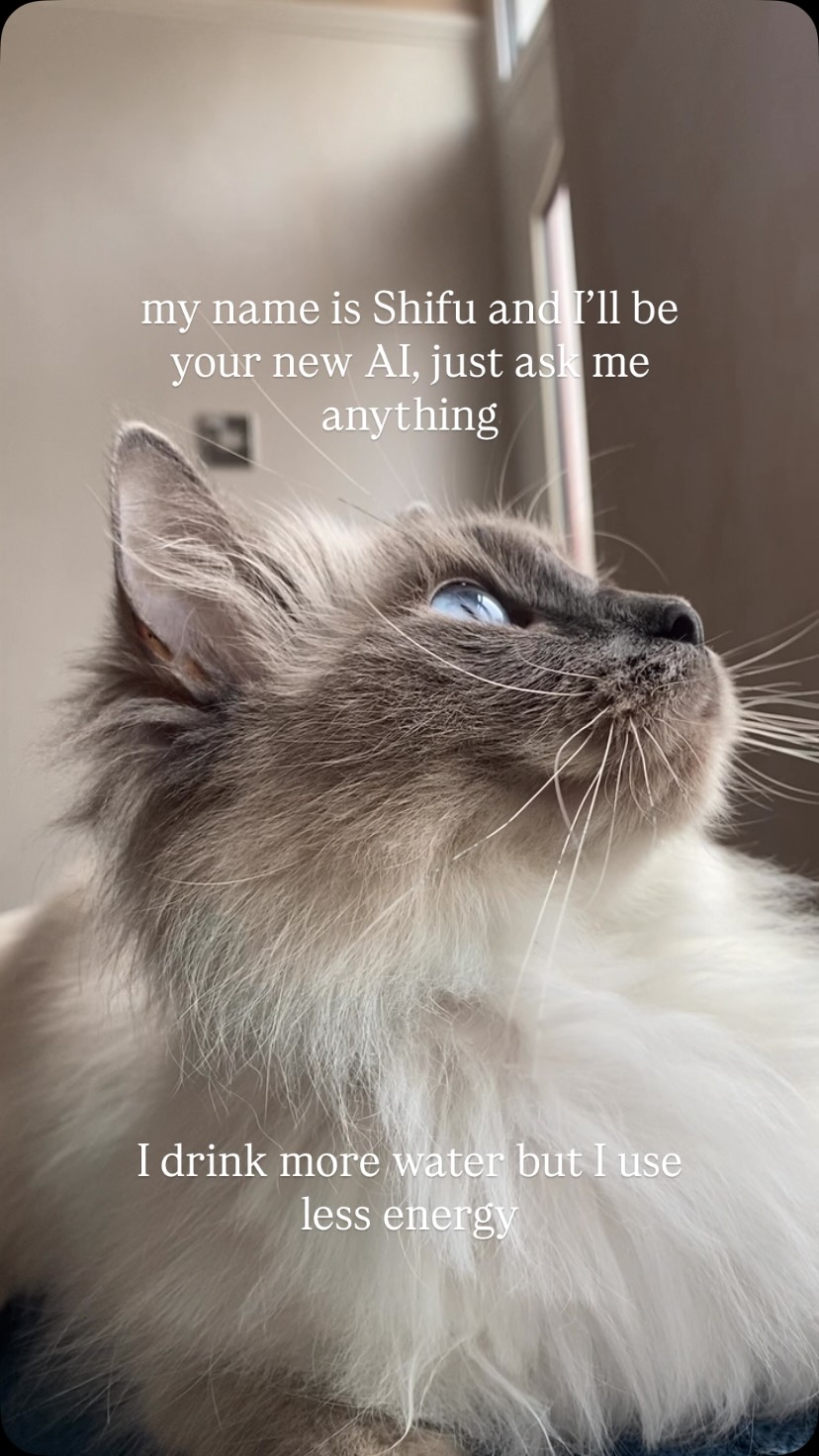 β¦. Ask me anything and Iβll make it about me β¨
#catsofinstagram #catoftheday #reels