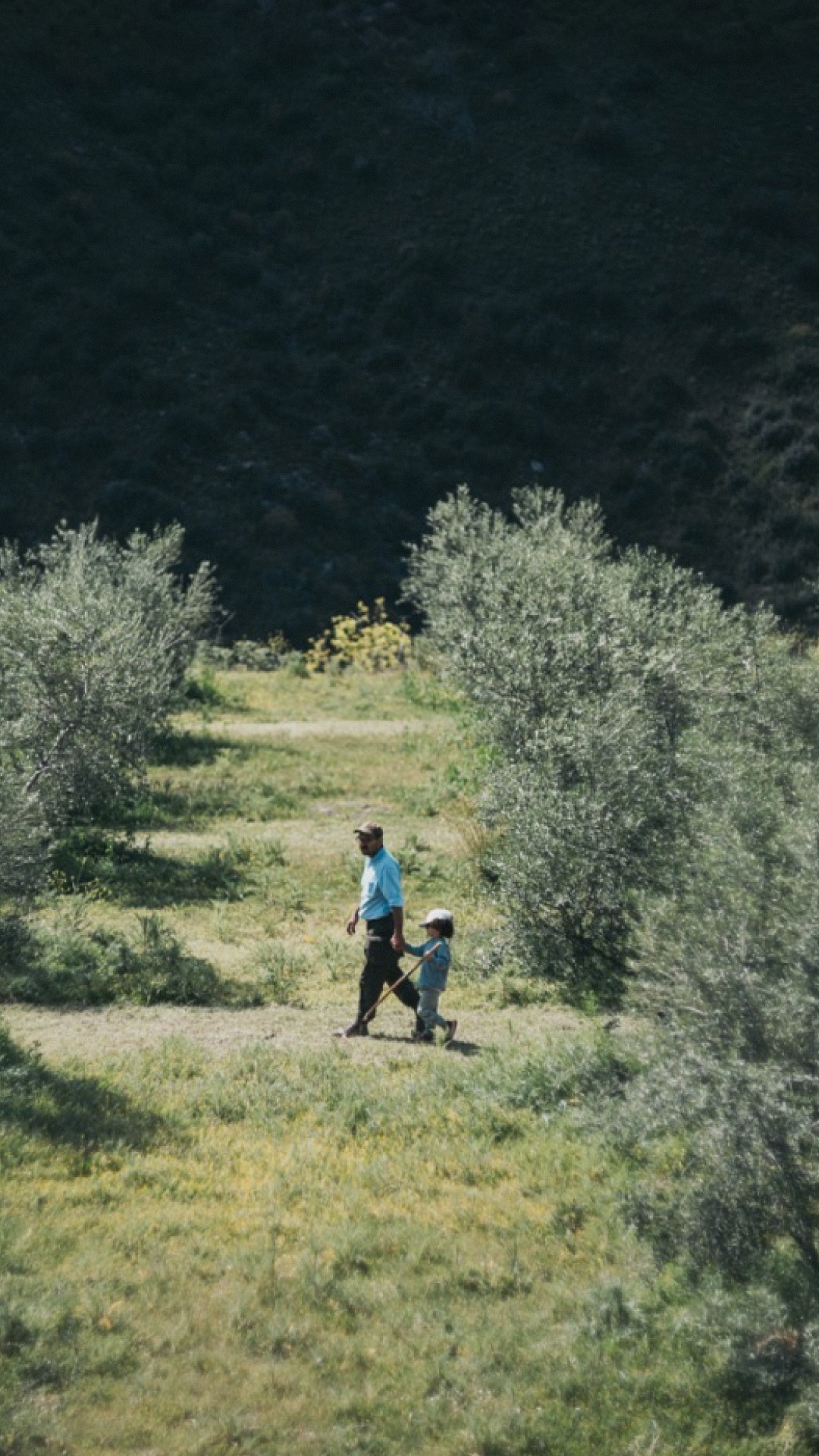 How do you produce internationally acclaimed extra virgin olive oil following a major wildfire?
That’s the mission of Demetris Taliotis @aparthenasa, who is proving that an organic and regenerative farming model can restore an olive grove in Cyprus.
Spread over 6.5-hectares across two sites, including the Vavatsinia olive grove in the Troodos mountains, 600 meters above sea level, Demetris grows the indigenous Cypriot Kato Drys olive variety as well as Koroneiki.
Since the wildfire, Demetris and his wife Electra have doubled down on regenerative farming and harnessed the power of an agroforestry model to transform Aparthenasa into a knowledge hub for soil restoration, biodiversity and circular farming systems rooted in traditional mountainous olive groves from the Troodos Mountains.
“From the field, we can generate and share the knowledge needed to navigate the extreme weather patterns driven by climate change”.
🔗Follow the link in @top50farmers bio for the full story of how Demetris combines modern-science with ancient tradition to share knowledge and put Cypriot extra virgin olive oil on the map.
✍️ Written by @top50farmers and @oliveoiltim
#top50farmers #demetristaliotis #top50farmers2026 #aparthenasa #t50f2026 #T50F #regenag #regenerativeagriculture #regenerativefarming #soilhealth #knowyourfarmer #futureoffarming #europe #cyprus