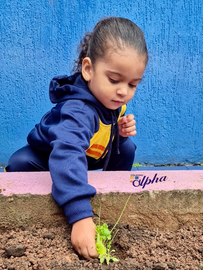 Hortinha:
✅ Alface
✅ Cheiro verde
