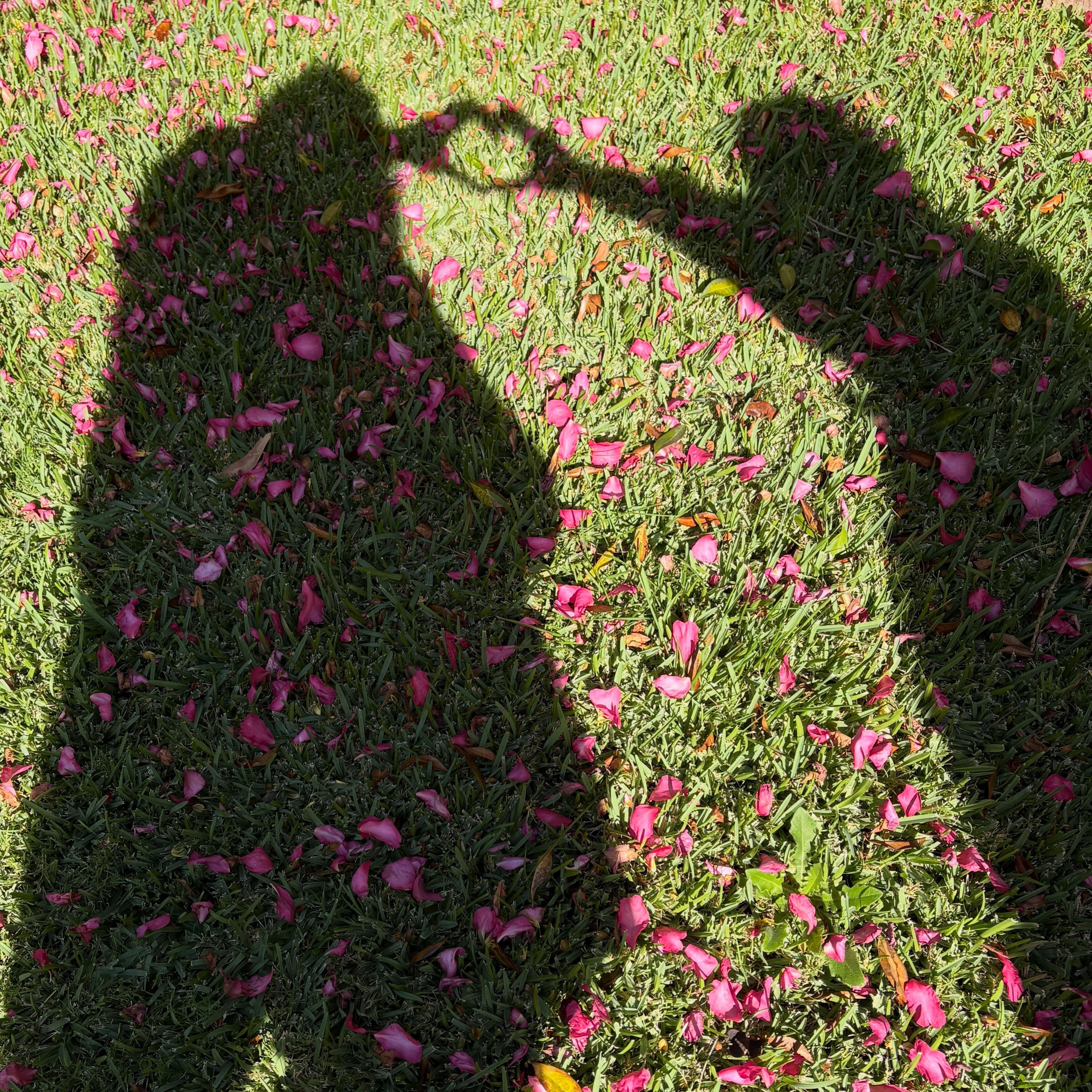 When we think of mindfulness meditation, we often picture solitary moments: a quiet room, a closed door, eyes shut, turning inward. But what happens when we open our eyes and step back into the world? This is where social mindfulness begins.
It’s the practice of bringing that same deep, intentional presence into our relationships, our conversations, and our communities. For practitioners, leaders, and allied health professionals, it’s the bridge between personal well-being and collective healing. It’s about how we show up with a big mind and heart.
If you are ready to move beyond the solo cushion and explore how mindfulness can transform your professional practice and community connections, I’d love to welcome you to our next round of Mindfulness for practitioners online course.
✨ The 4-Week Mindfulness Coaching Course is now open for our next intake. Together, we’ll dive into practical, nature-based, and contemplative tools designed specifically for the unique challenges of holding space for others.
Offered as PD speak to your boss about workplace sponsorship, or check with your association for CPD PTS.
🔗 Head to the link in my bio to learn more and secure your spot for June 17th. Let’s journey together.
#meditation #mindfulness #therapy