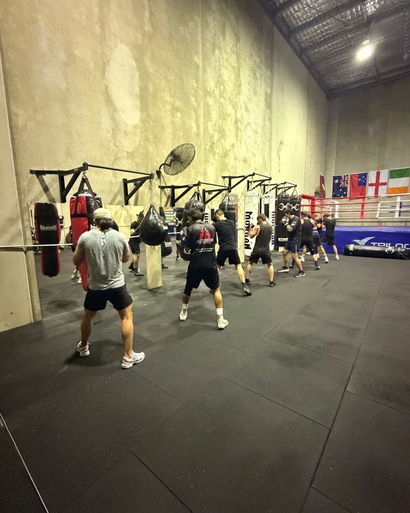 Whole team been putting in the work🥊 #boxing #kidsboxing #womanboxing #mentalhealth #bloodlineboxing