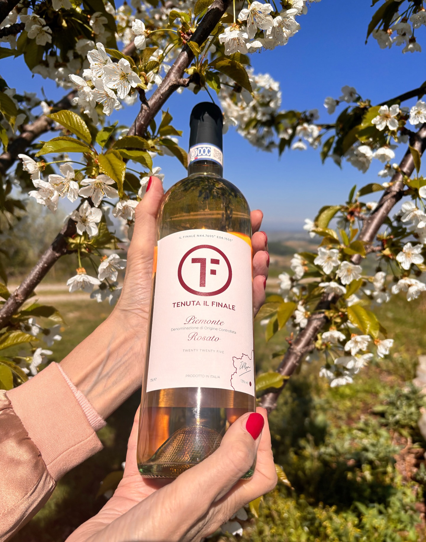 If summer had a flavour, it would be Rosato. ☀️🍷
As soon as the weather warms up, Rosato is what we find ourselves reaching for.
Fresh, vibrant and full of character, it’s the perfect wine for long lunches, aperitivo with friends and warm evenings outdoors.
At Tenuta Il Finale, we make two Rosatos:
🌸 Rosato di Barbera – light, elegant and refreshing, with delicate floral notes and bright red berry fruit.
🍓 Rosato di Dolcetto – a little fuller, with juicy strawberry notes and a lovely softness on the palate.
They’re quite different, but honestly, we couldn’t choose a favourite. It usually just depends on what’s on the table.
Will Rosato be your summer wine?
.
.
.
#Rosato #RosatoWine #SummerWine #ItalianWine #PiemonteWine