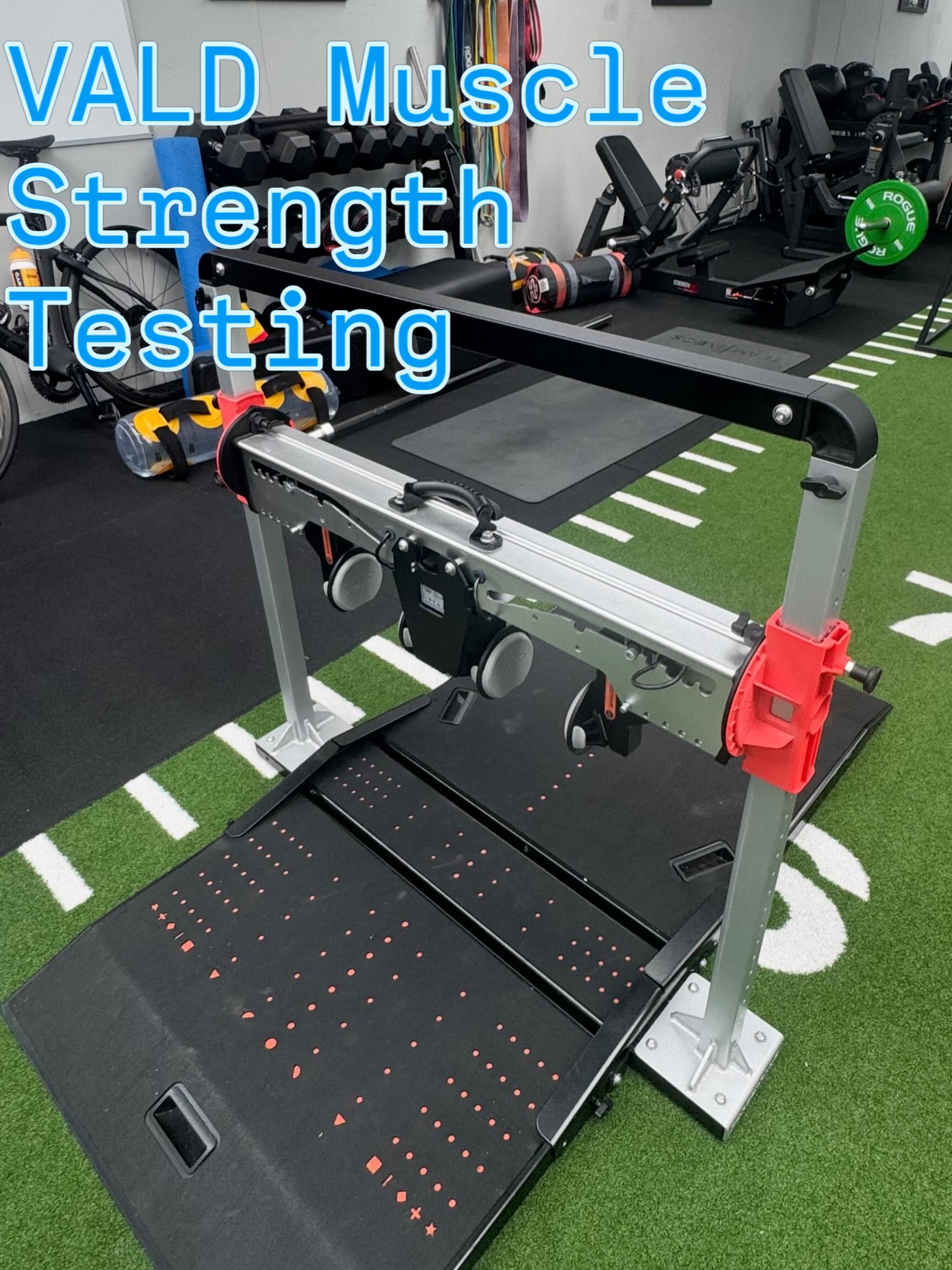 VALD muscle strength testing today 📈How can you rehab someone if you dont know where their weaknesses are? #dundalkosteopathyclinic #dundalkosteopath #dundalkosteo #physiodundalk #dundalksportsmedicine