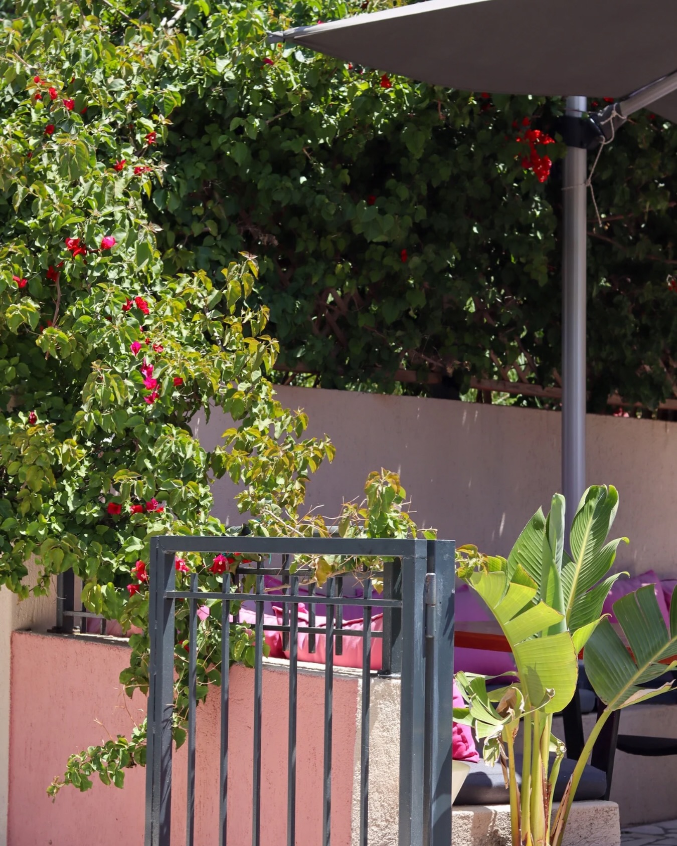 Stepping into June surrounded by sunshine, nature, and summer energy all around us. ☀️
Your favorite little corner at 3 Wise Monkeys is waiting.🌿
#3wisemonkeys #restaurant #bar #assos #kefalonia
